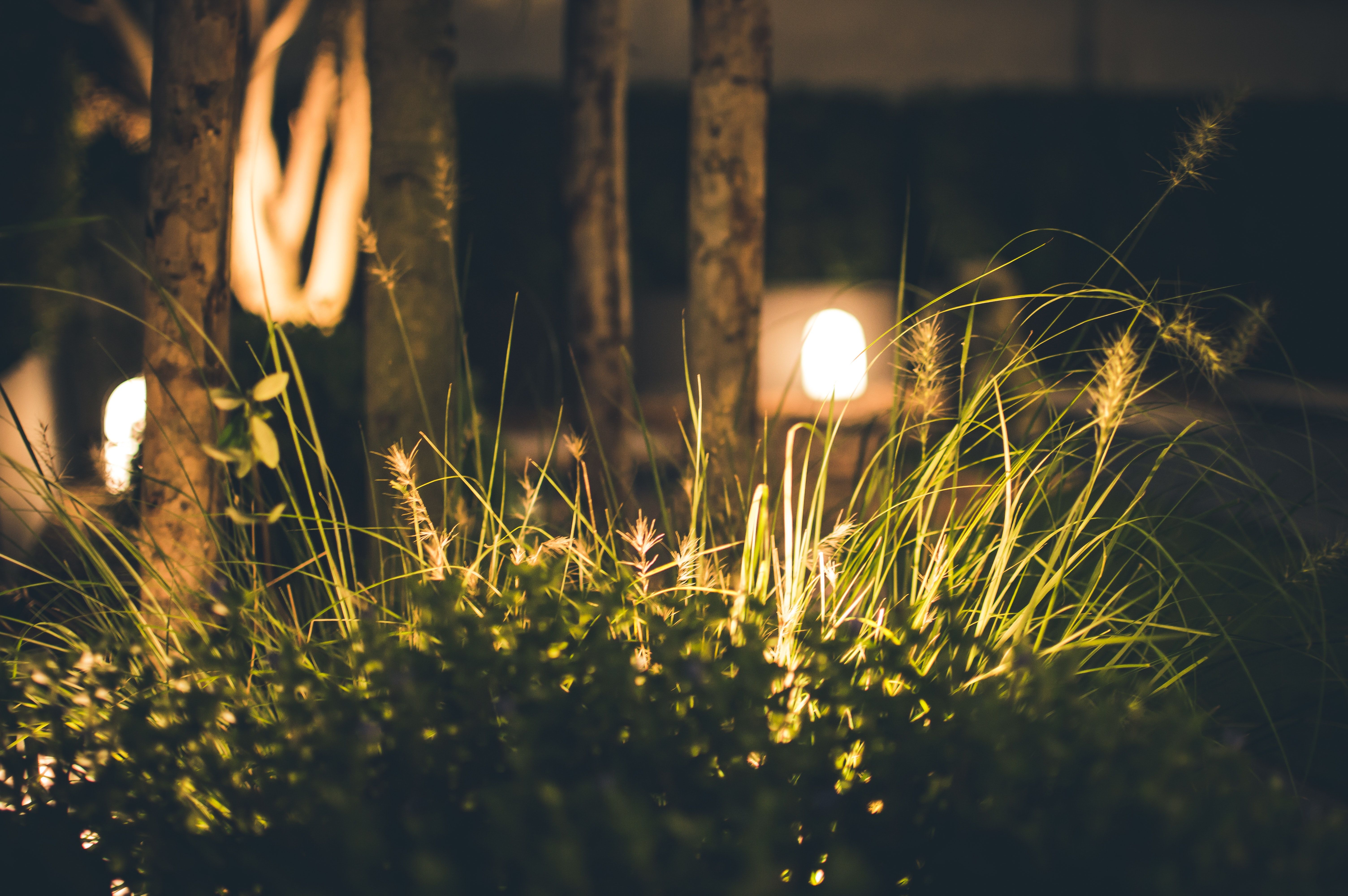 6016x4000 Night Lights Photo, Download The BEST Free Night Lights & HD Image