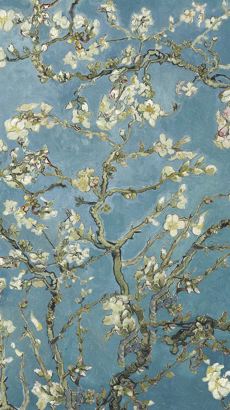 800x1423 Van Gogh Almond Blossom Image Wallpaper