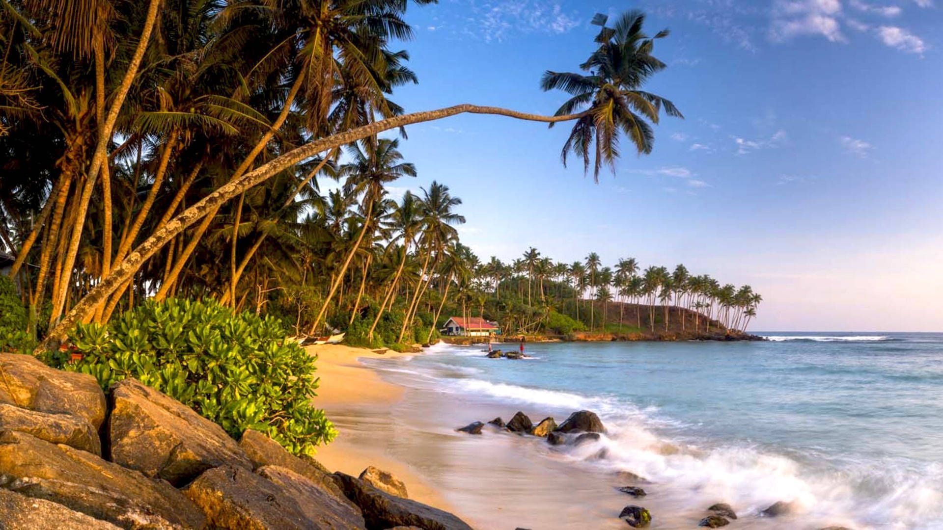 1920x1080 Download Sri Lanka Mirissa Beach Palms Wallpaper