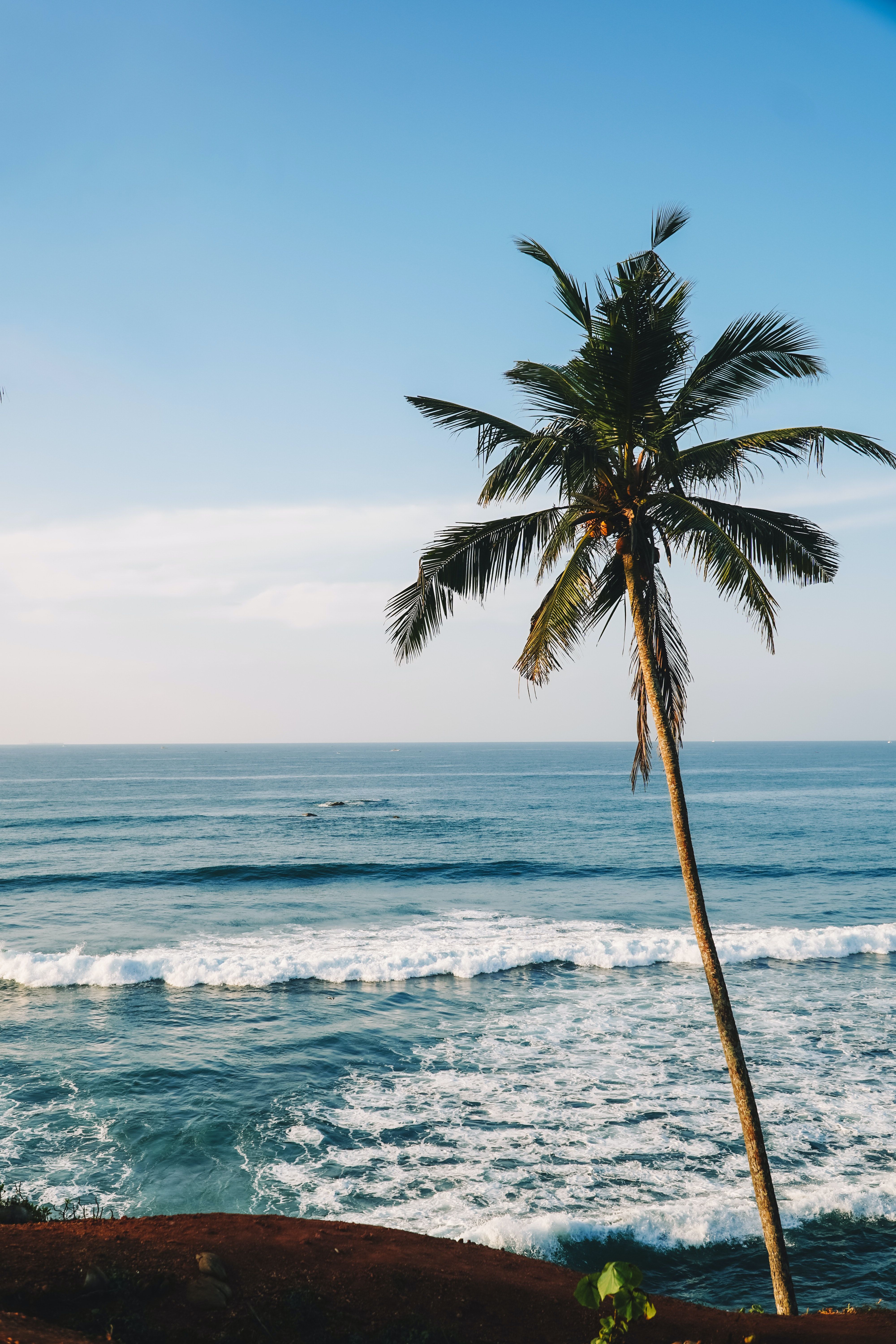 4000x6000 Sri Lanka Beaches Photo, Download The BEST Free Sri Lanka Beaches & HD Image