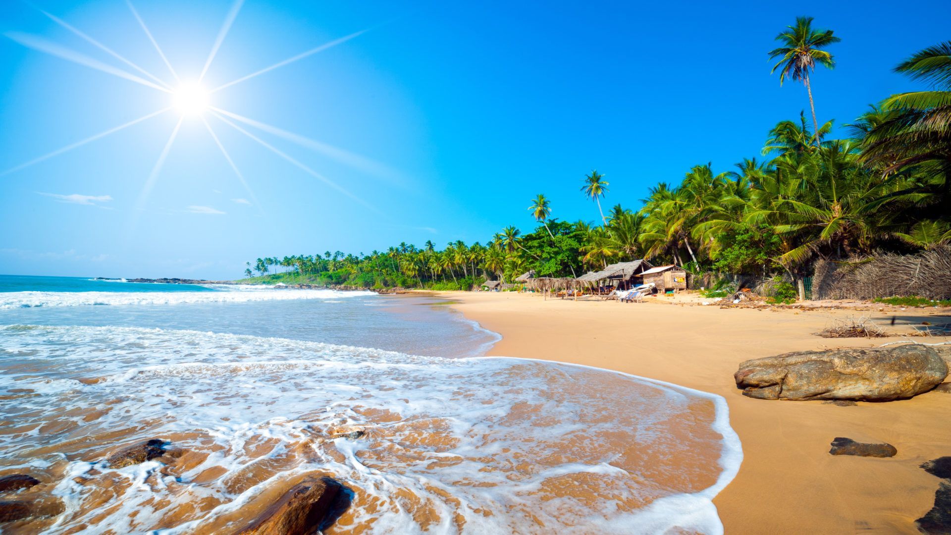 1920x1080 Exotic Sri Lanka Jaffna Beach Tropical Forest Palm Trees Ocean Waves Sandy Beach Ndian Ocean Tropical HD Wallpaper 3840x2400 :