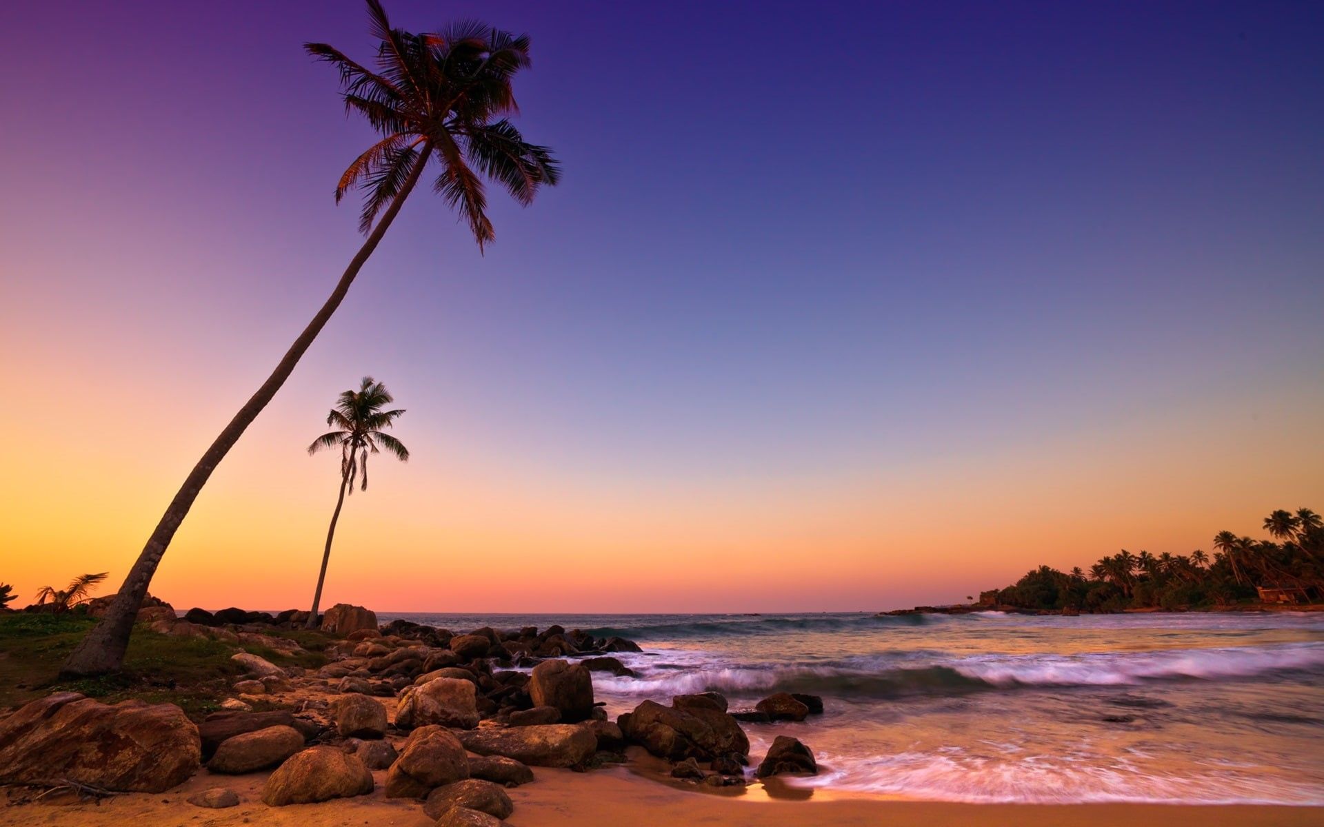 1920x1200 Wallpaper / Sunset, Coast, Trees, lanka, SriLanka, 1080P, Beach, Palm, silhouette, Rocks, sri, Sea free download