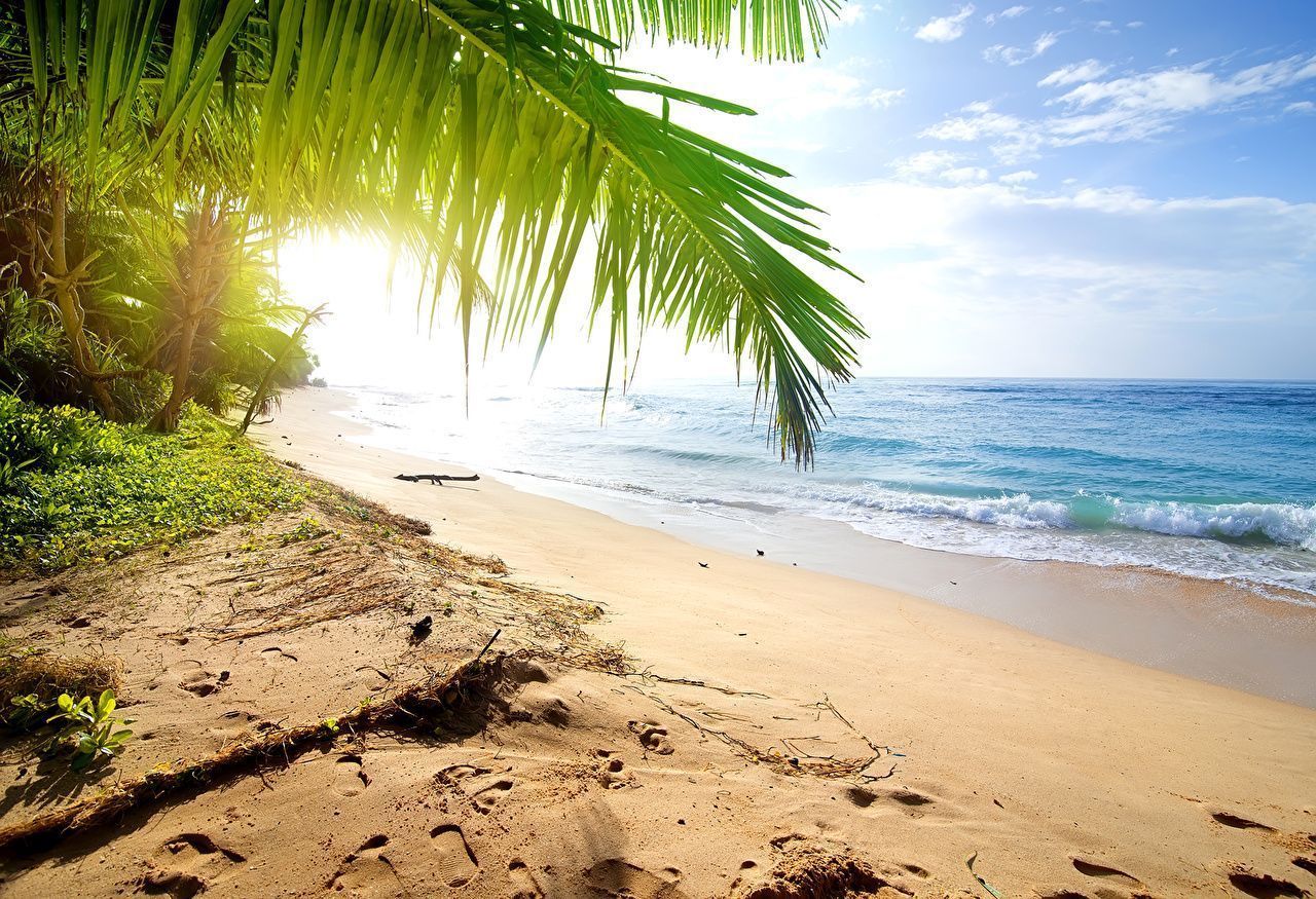 1280x875 Wallpaper Sri Lanka Beach Sea Nature Sand Waves Tropics Coast