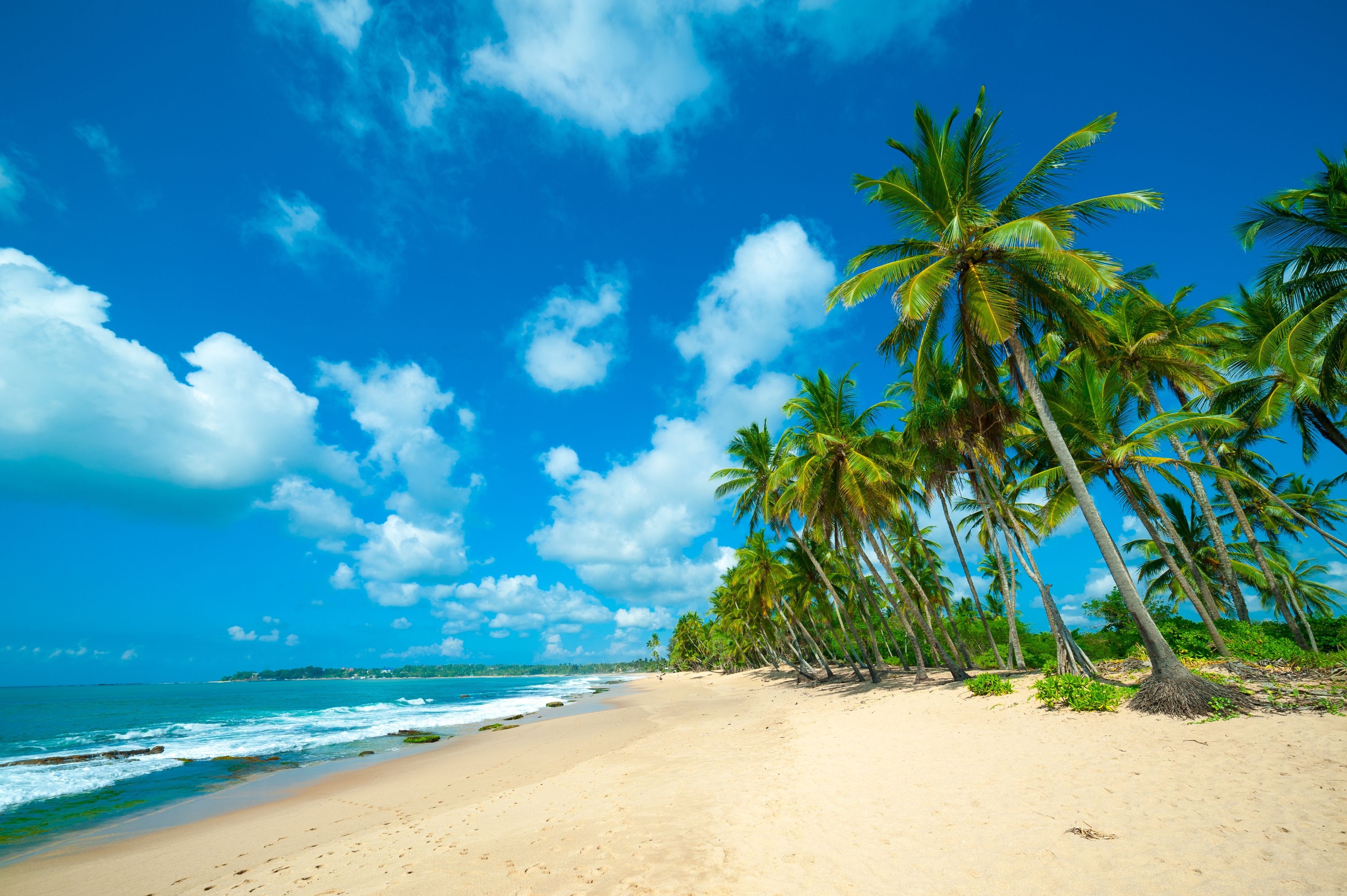 3200x2129 Tropical Beach In Sri Lanka Mural Your Way