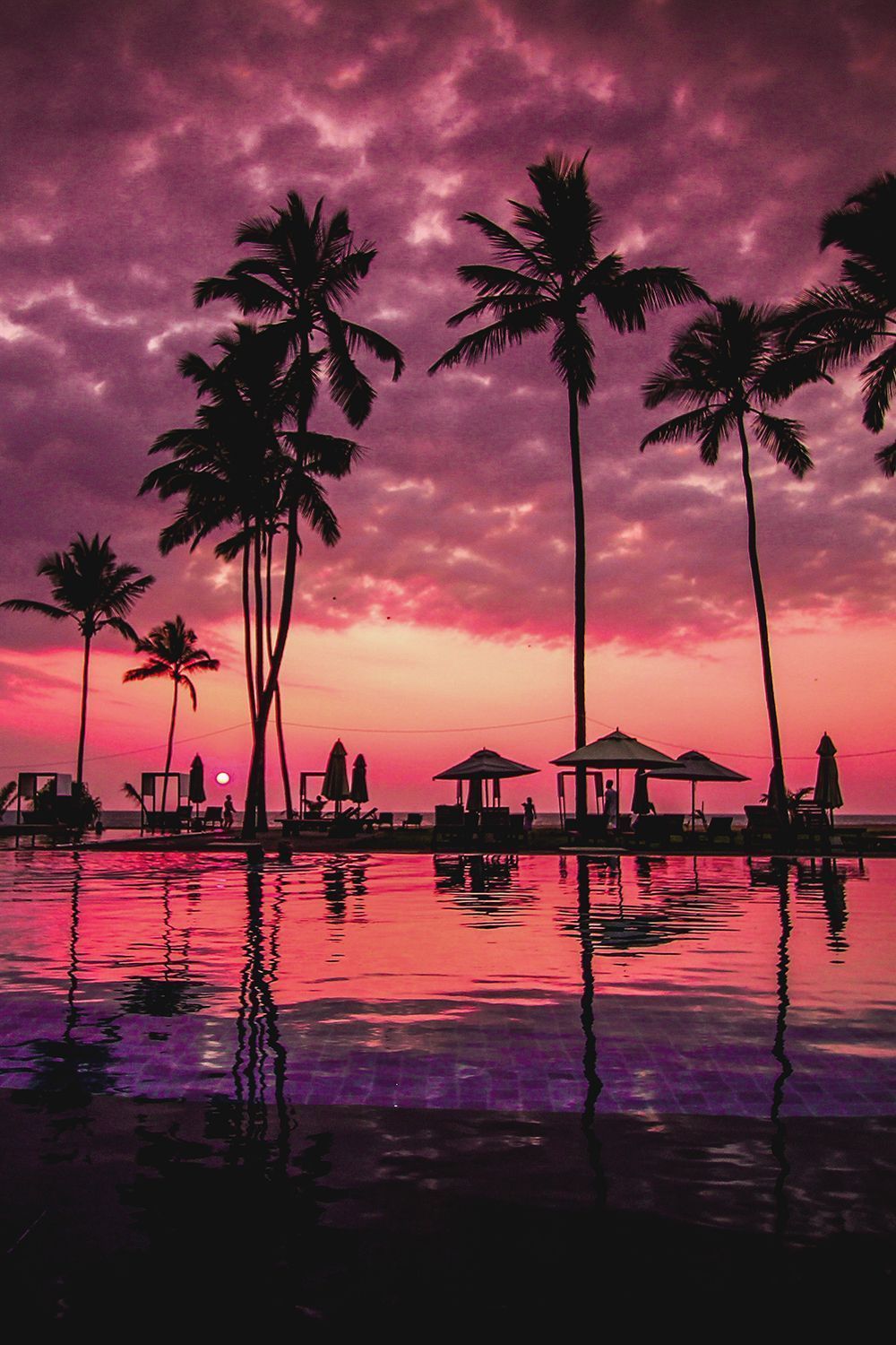 1000x1500 Free download motivationsforlife Negombo Beach Sri Lanka by Recal Medi [1000x1500] for your Desktop, Mobile & Tablet. Explore Sri Lanka Wallpaper. Sri Yantra Wallpaper, Sri Lanka Flag Wallpaper, Sri Ramachandra Wallpaper