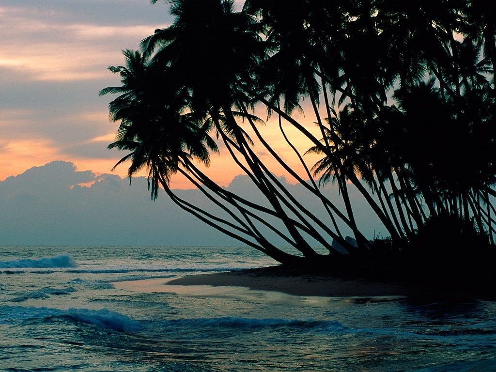 1024x768 nature
