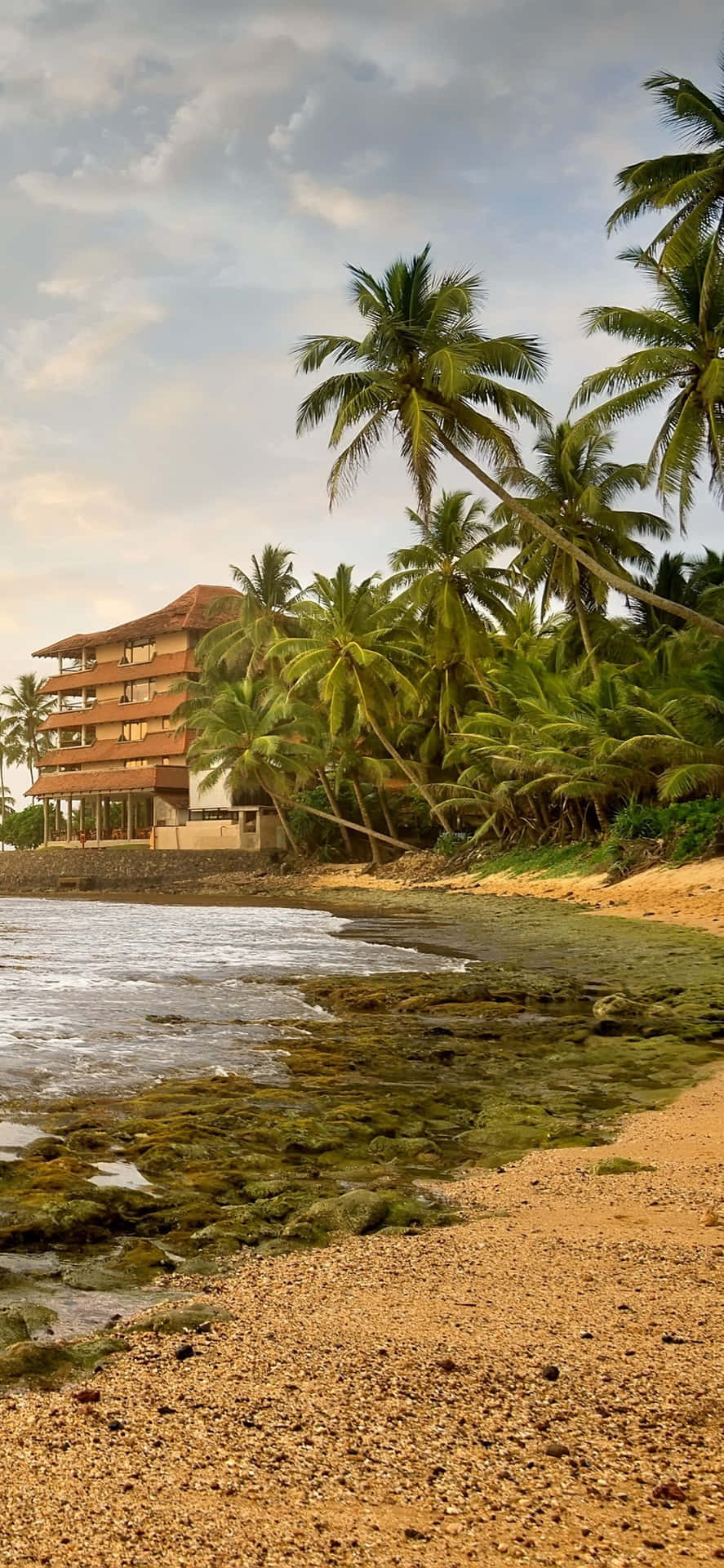 887x1920 Download Hikkaduwa Sri Lanka Beach Tropical iPhone Wallpaper