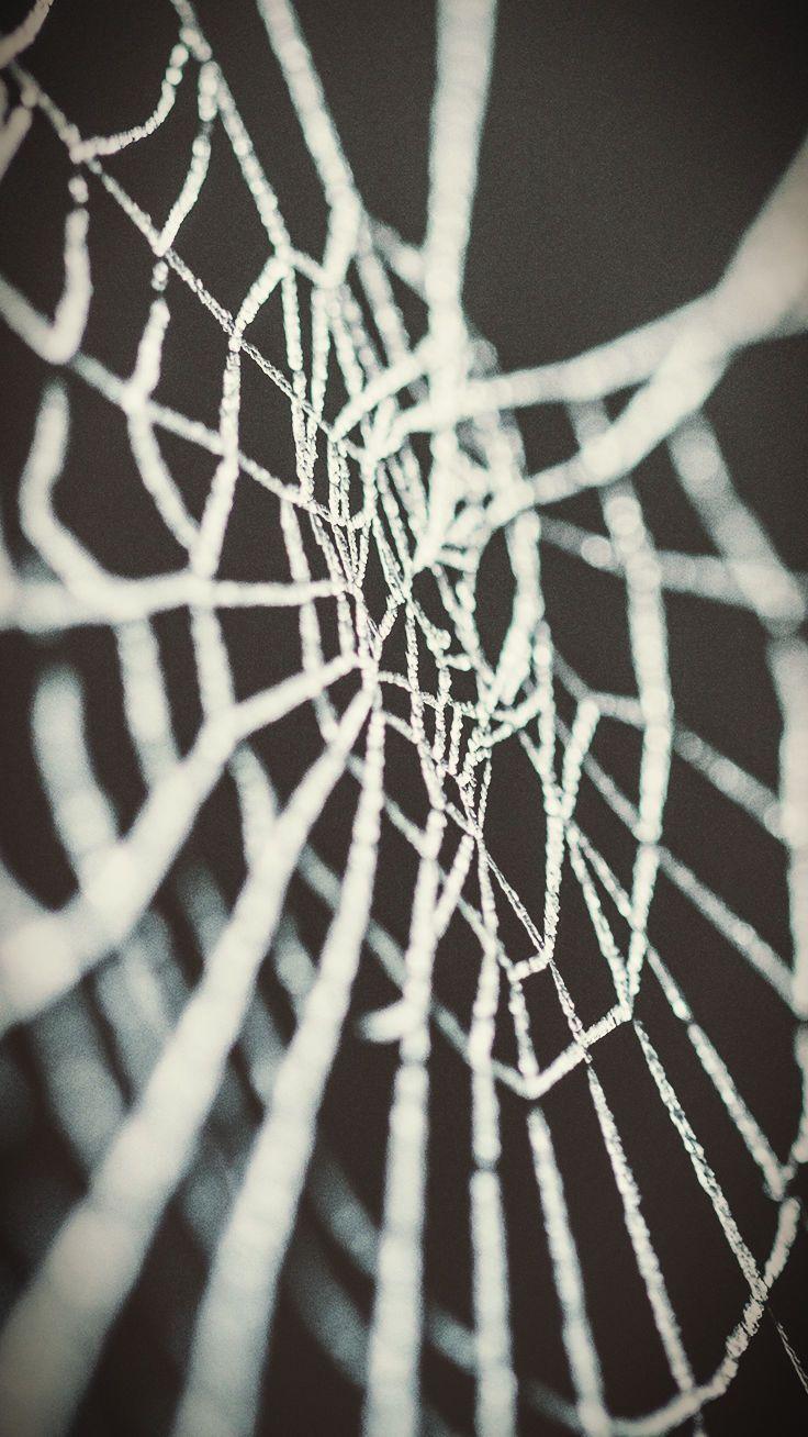 Halloween Spider Phone Wallpapers - Top Free Halloween Spider Phone