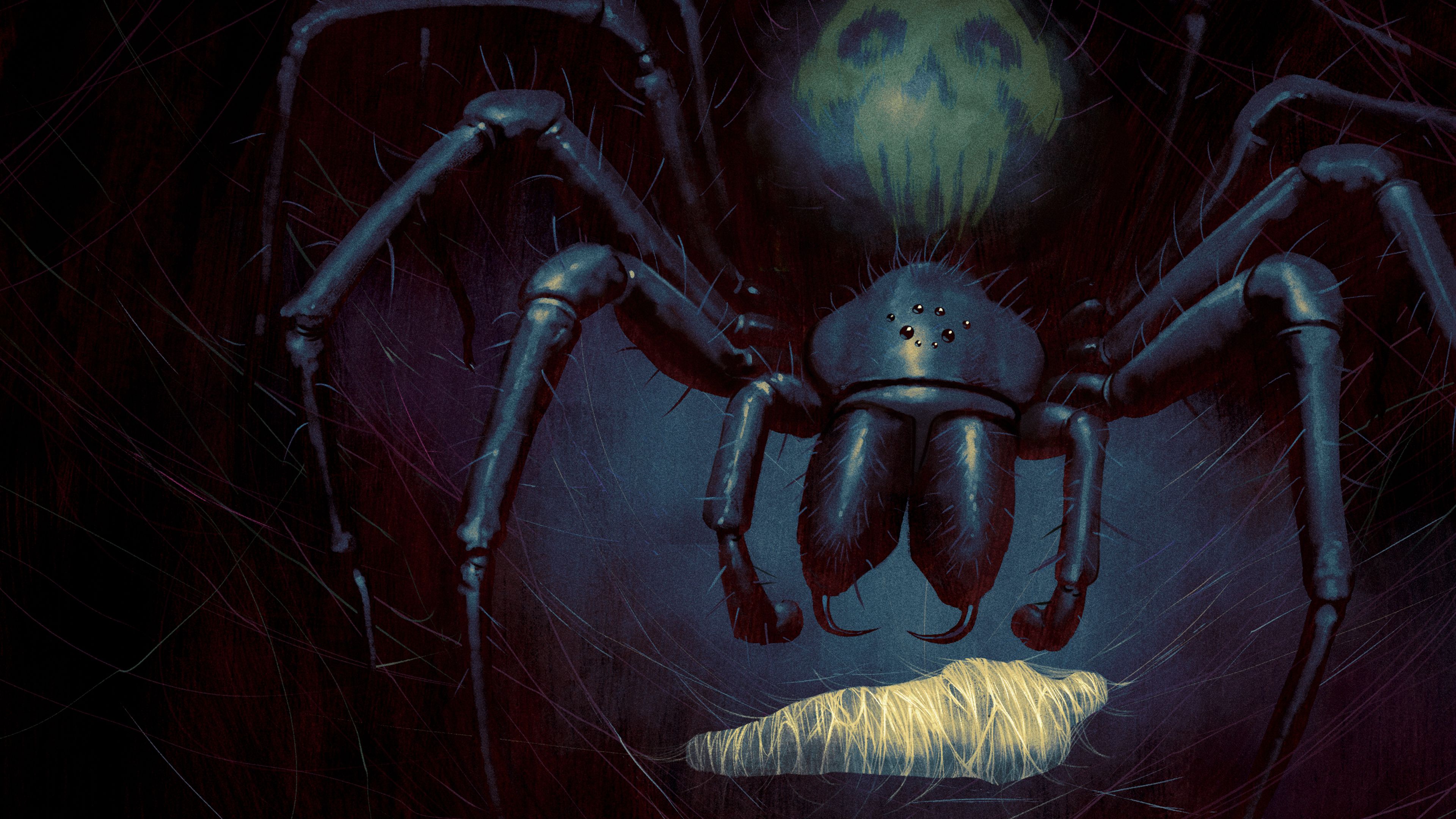 3840x2160 Illustration Spider Creature Creepy Animals Insect Horror Artwork Wallpaper:3840x2160