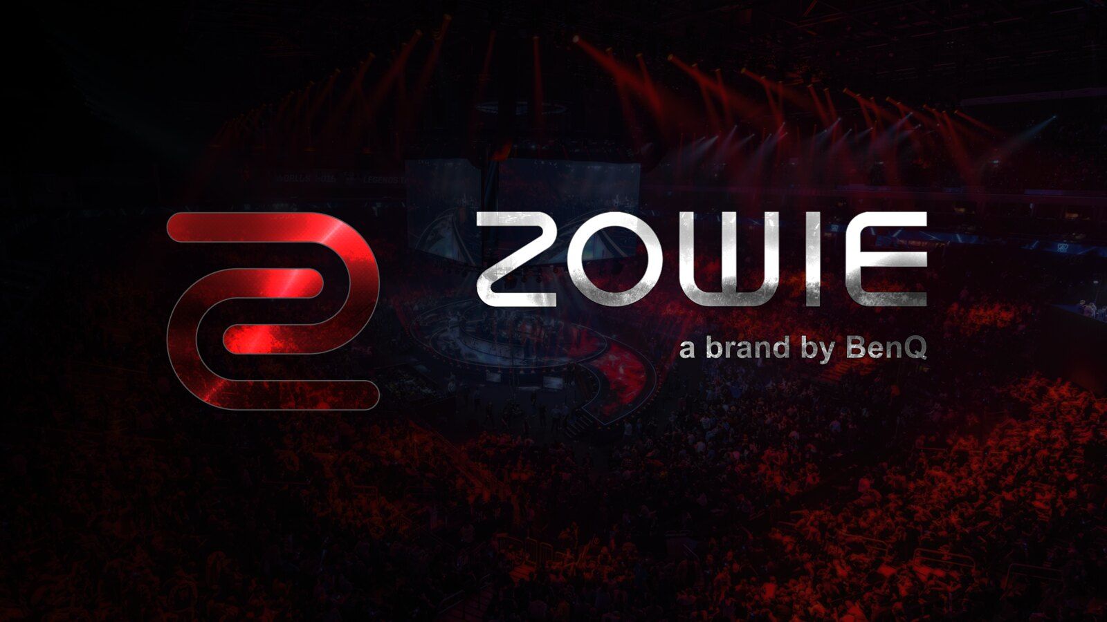 Breathtaking Zowie Zinnia Image for Desktop Breathtaking Zowie Zinnia Image for Desktop