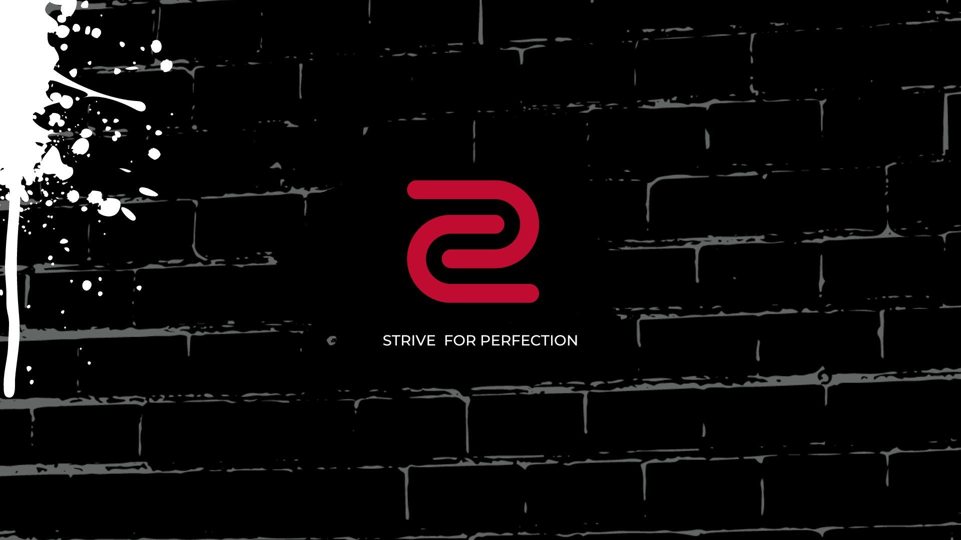 Vibrant Zowie Zinnia Moment in 4K Vibrant Zowie Zinnia Moment in 4K