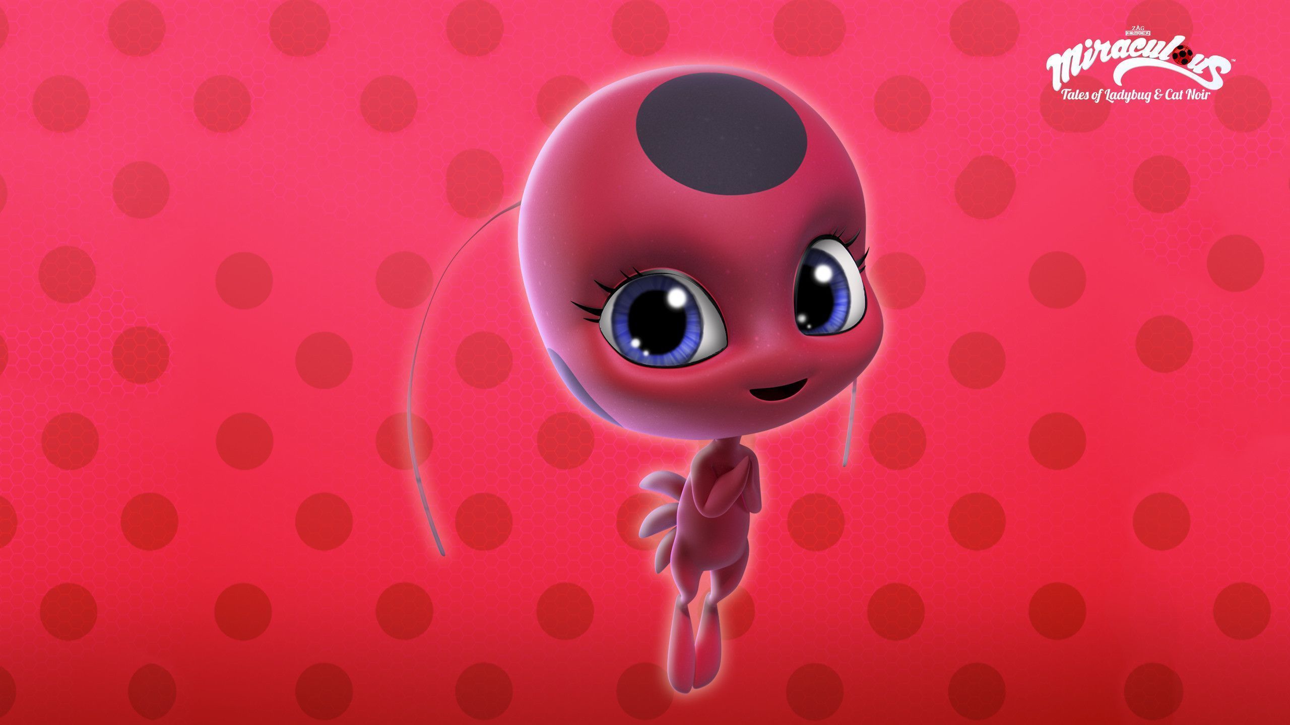 2560x1440 Tikki Kwami Wallpaper