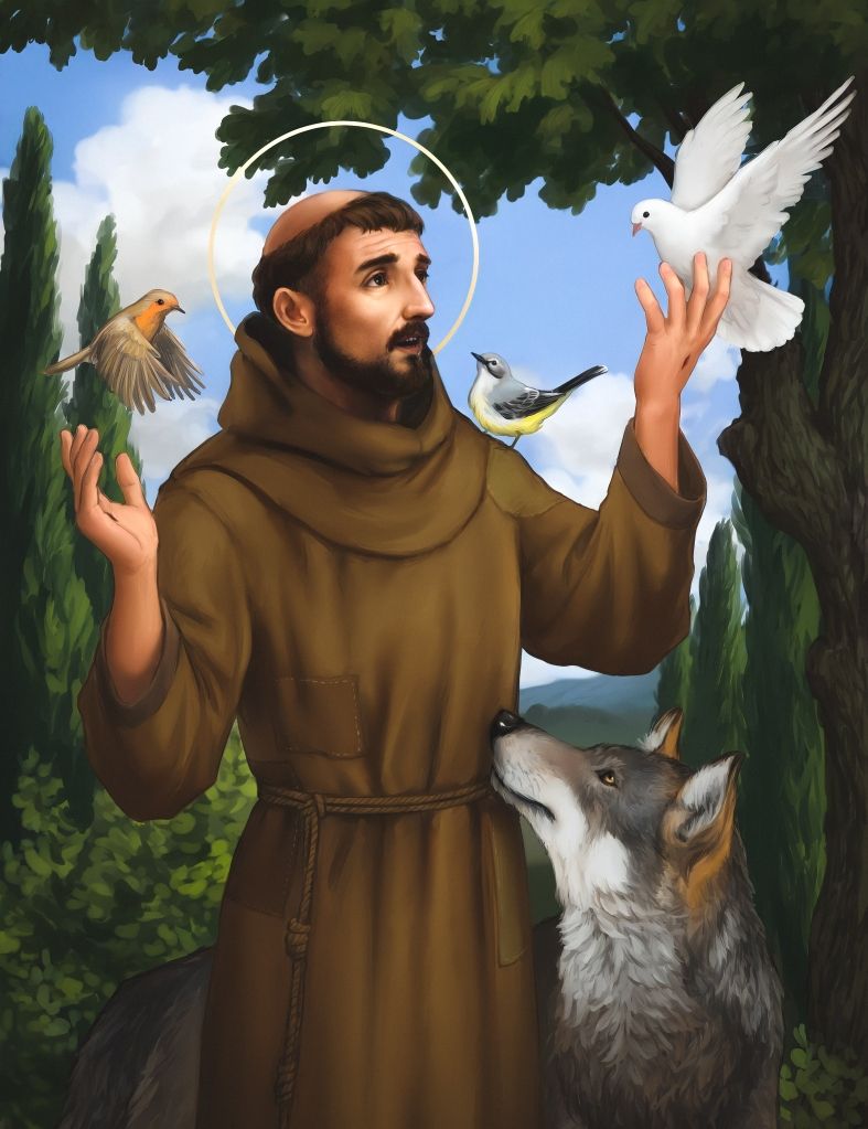 787x1023 St. Francis Assisi, HD Image Wallpaper