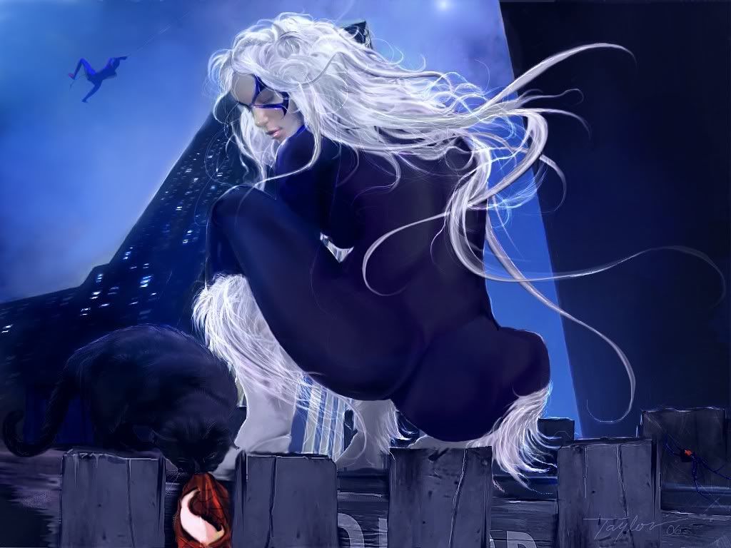1024x768 Favorites of Madapaka tagged Black Cat (Felicia Hardy)