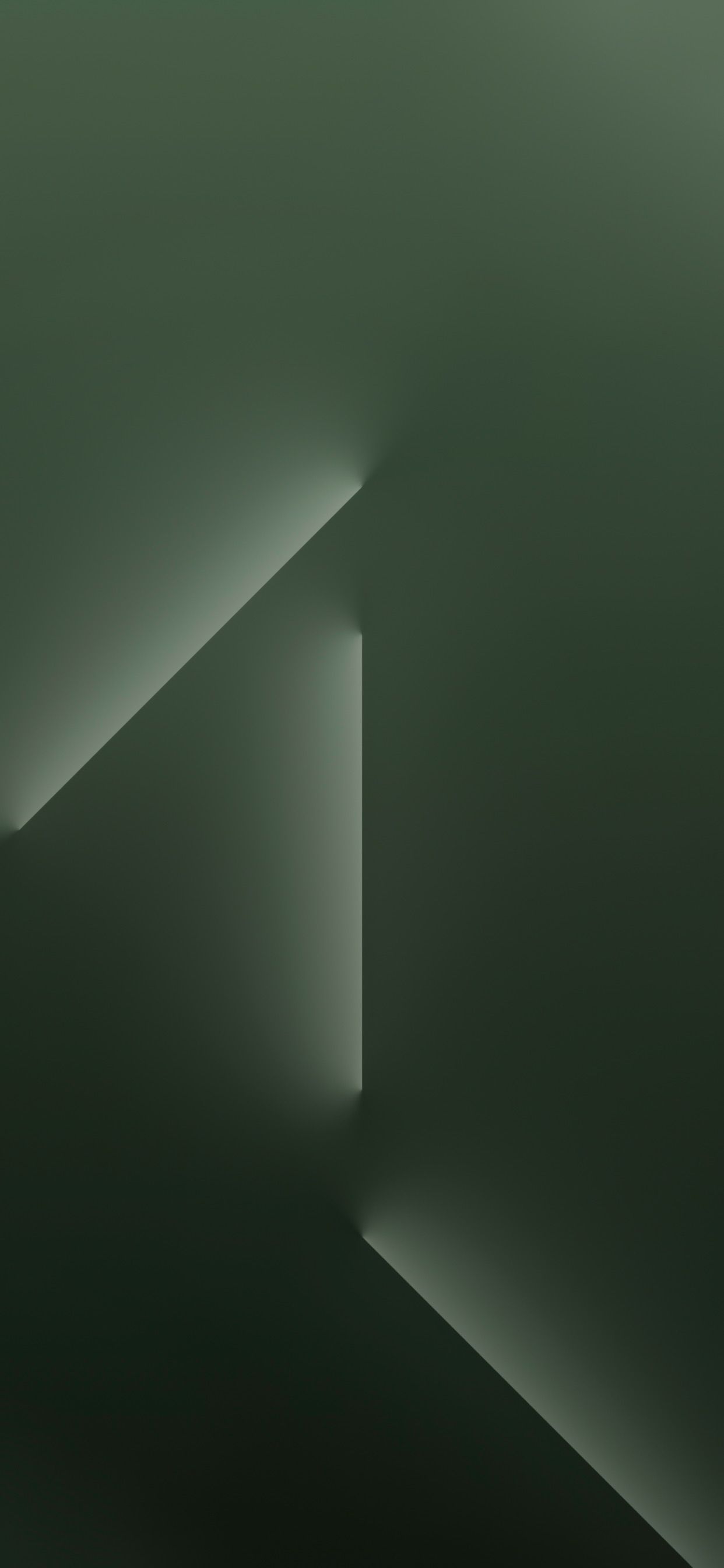 1242x2688 Alpine Green Wallpaper