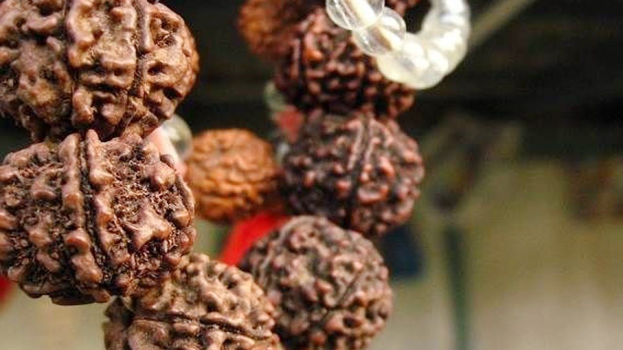 1280x720 Rudraksha
