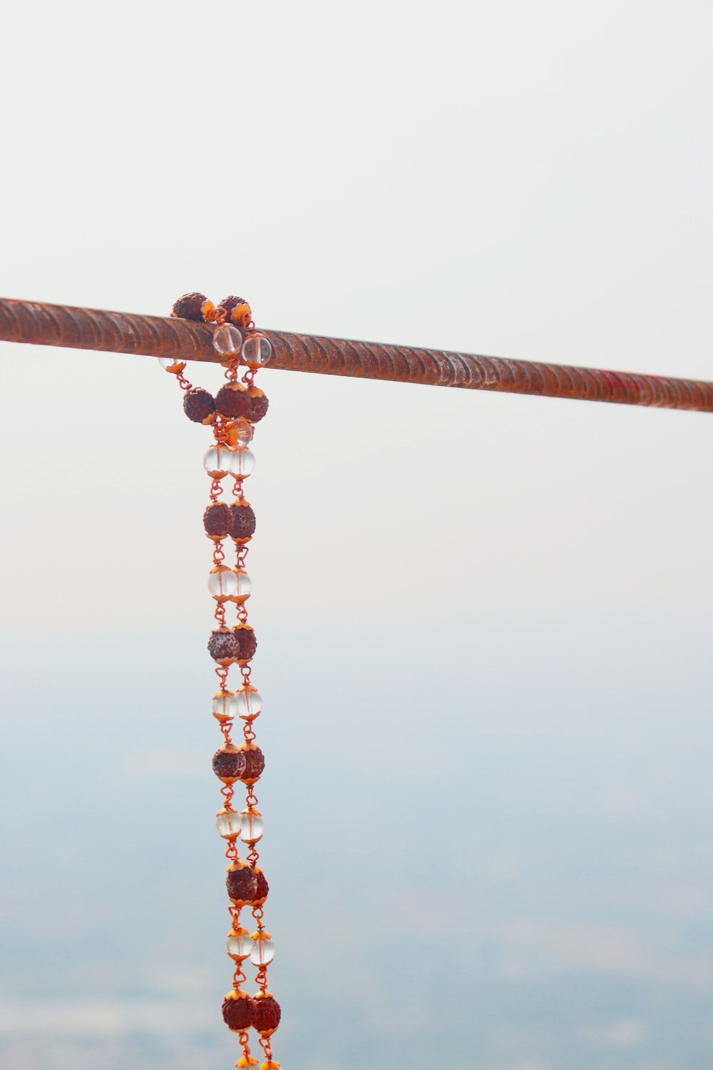 1000x1500 Rudraksha Picture. Download Free Image