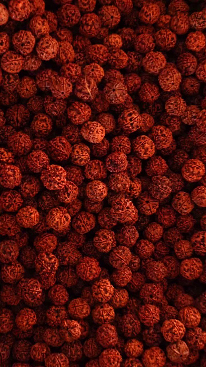 Rudraksha Wallpapers Top Free Rudraksha Backgrounds WallpaperAccess Rudraksha Wallpapers Top Free Rudraksha Backgrounds WallpaperAccess