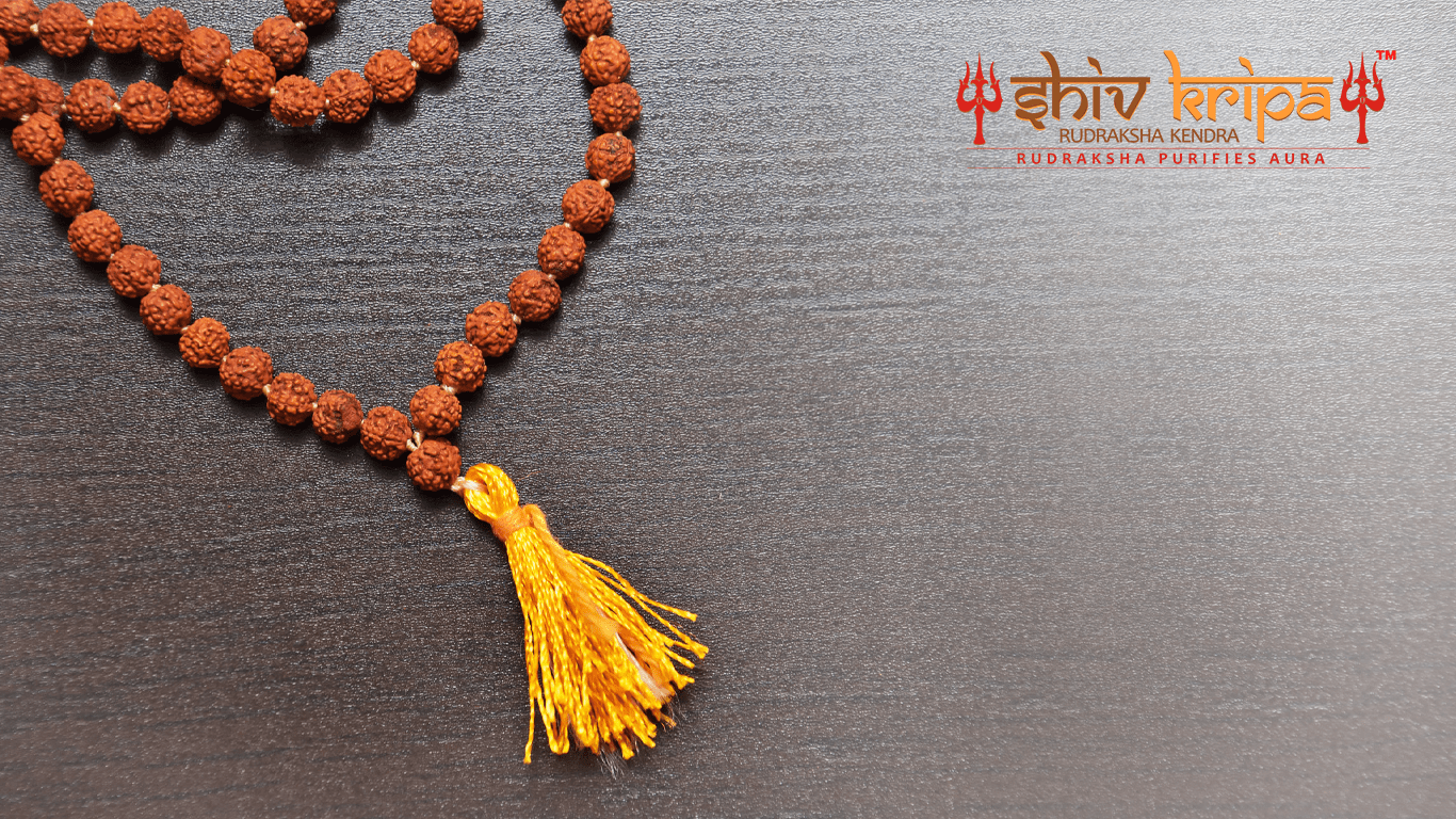 1366x768 Things You Should Know Before Buying 1 5 Mukhi Rudraksha