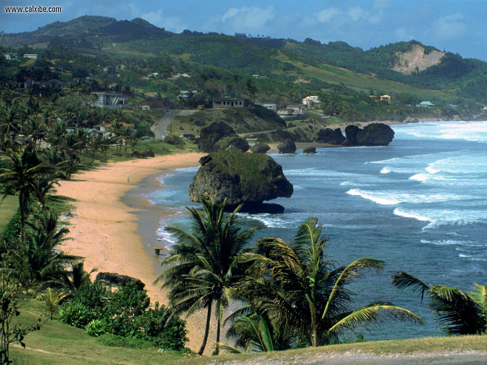 1600x1200 Free download Nature Tropical Bathsheba Barbados West Indies picture nr 15011 [1600x1200] for your Desktop, Mobile & Tablet. Explore West Indies Wallpaper. Old West Wallpaper, Wild West Wallpaper, Wild West Wallpaper