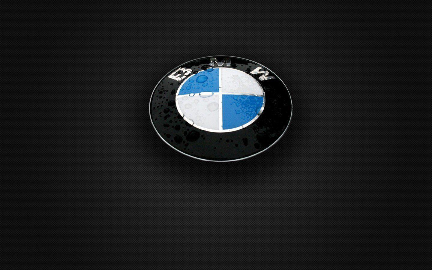 1440x900 BMW gray carbon fiber logos wallpaperx900
