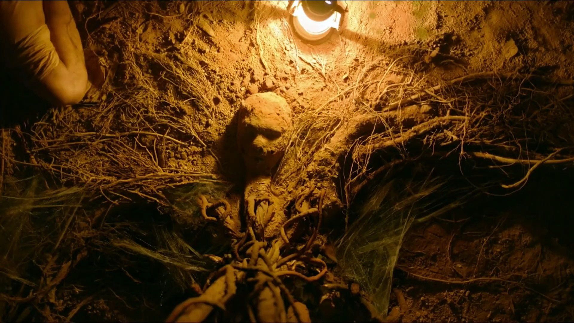 Tumbbad Wallpapers Top Free Tumbbad Backgrounds WallpaperAccess