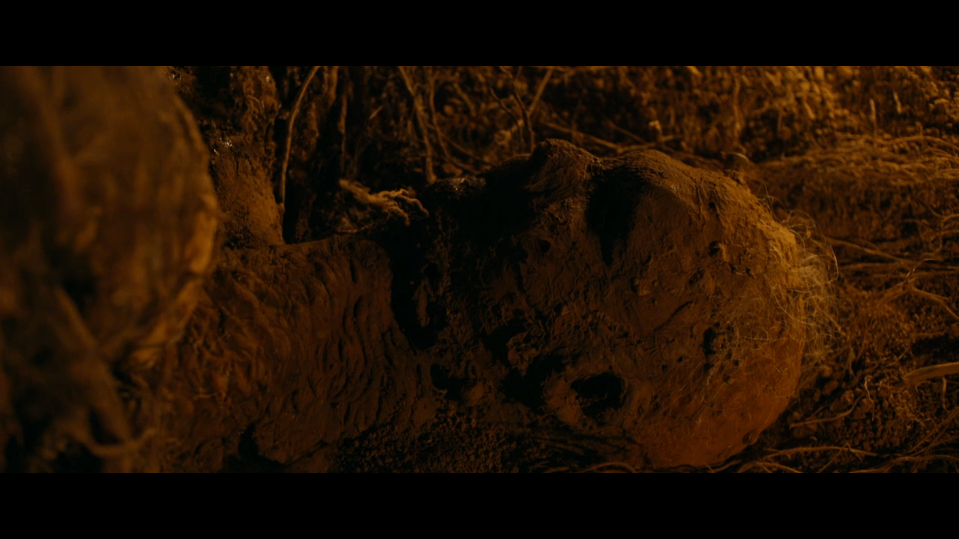 1920x1080 Buck Theorem's Hide Out: Tumbbad