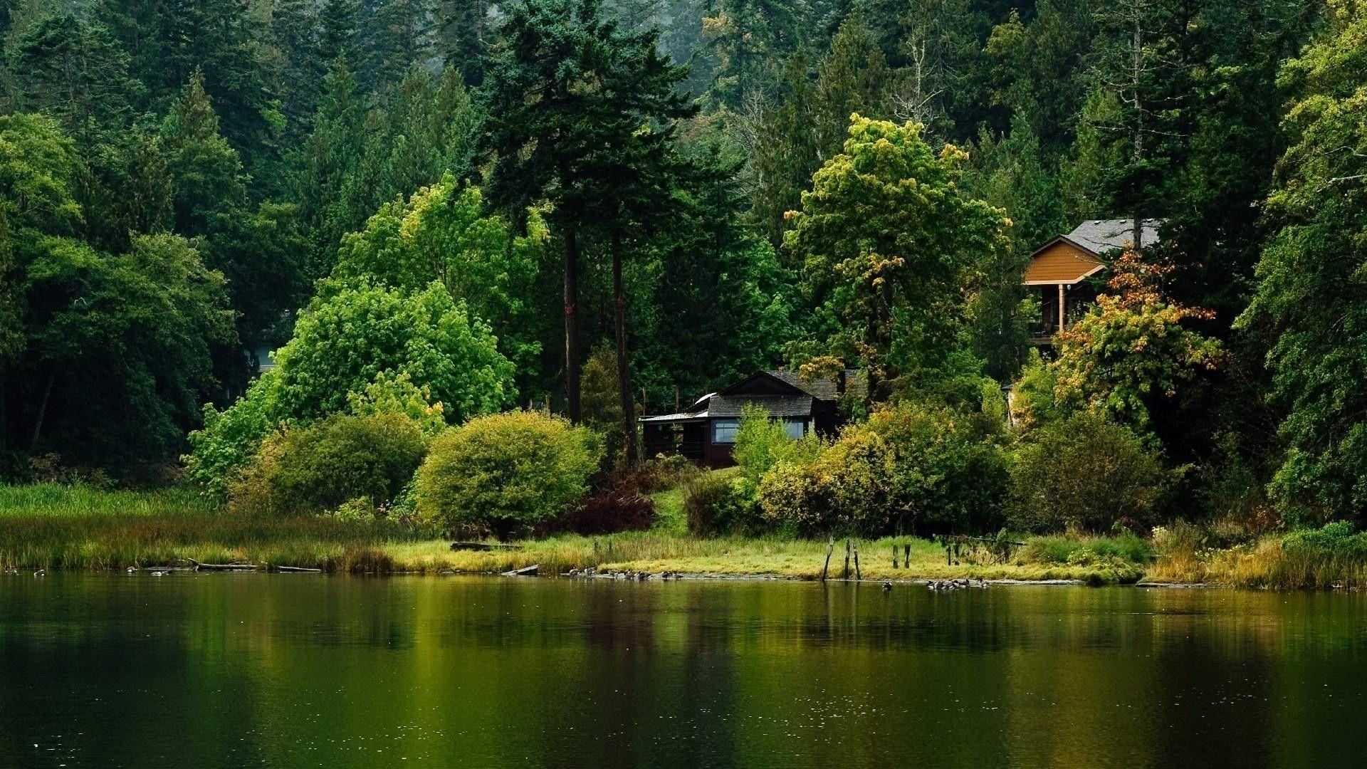 1920x1080 Nature Wallpaper for Desktop