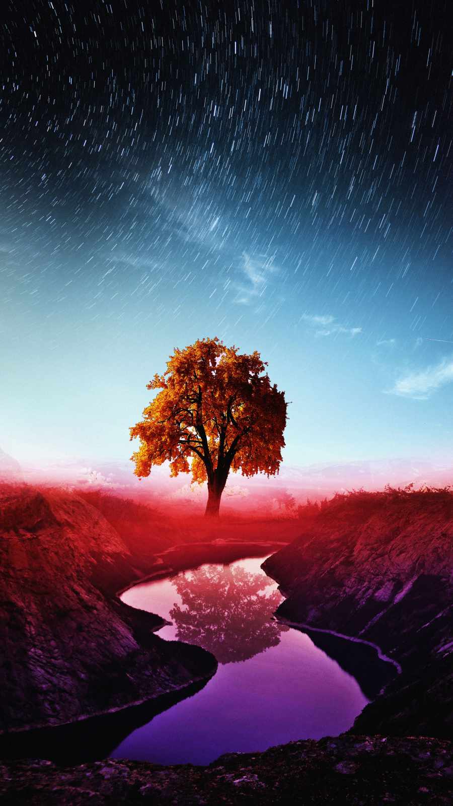 900x1600 Free download Magical Tree Of Life IPhone Wallpaper HD IPhone Wallpaper [900x1600] for your Desktop, Mobile & Tablet. Explore Tree of Life iPhone Wallpaper. Tree of Gondor Wallpaper, Flower