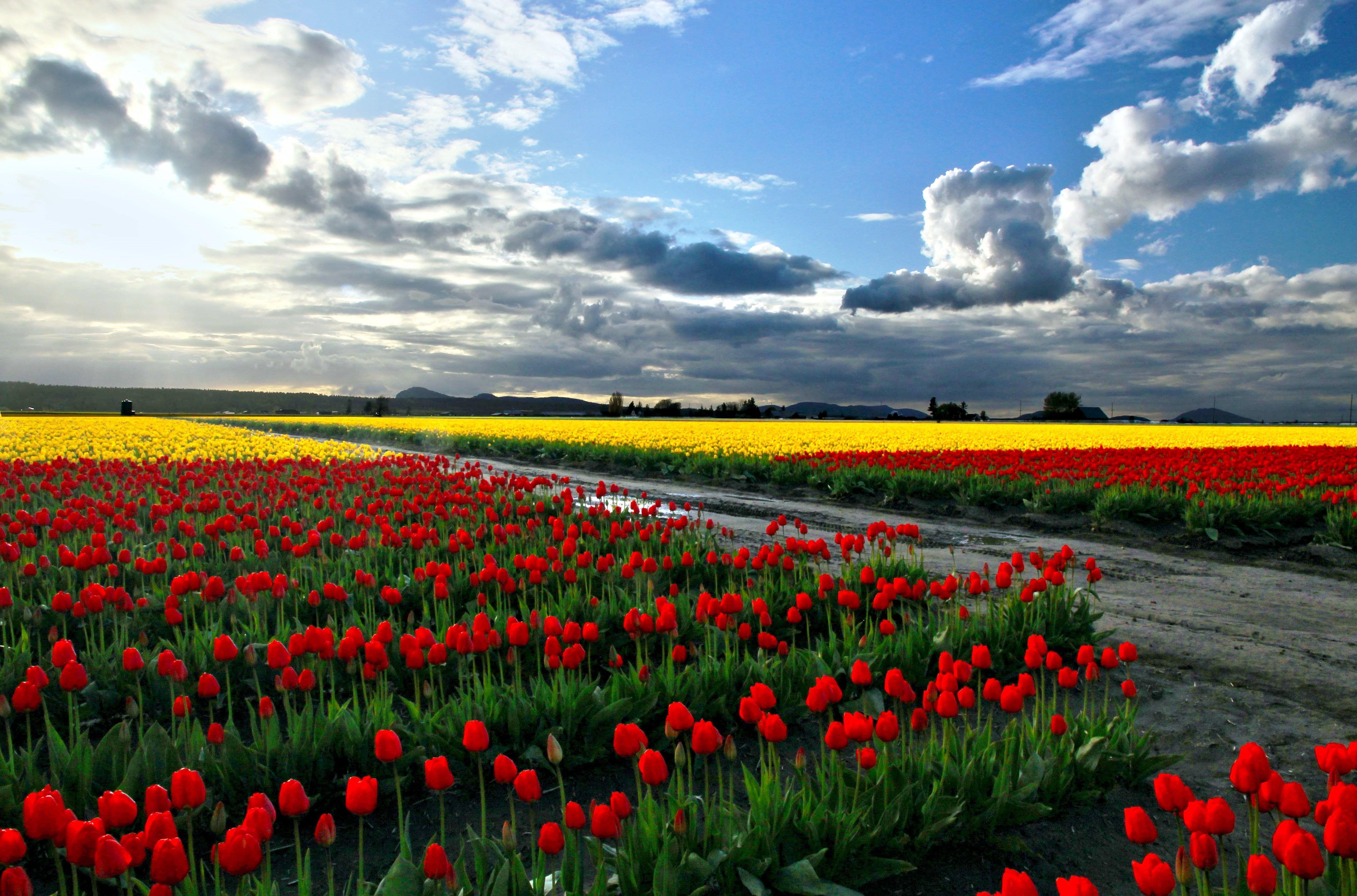 5076x3354 High Resolution Desktop Wallpaper tagged. wallpaper