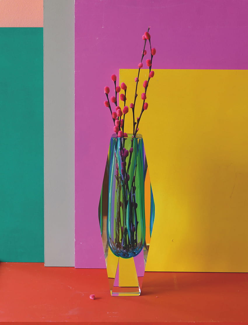 Pedro Almodóvar Wallpapers - Top Free Pedro Almodóvar Backgrounds