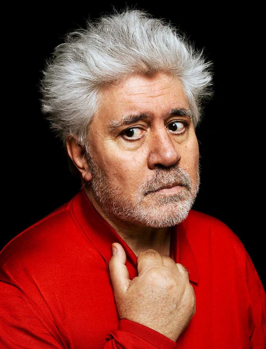 850x1116 Pedro almodovar HD wallpaper