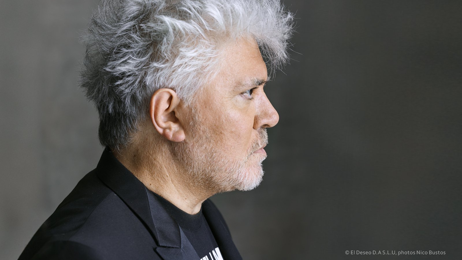 1600x900 Festival De Cannes Almodóvar, President Of The Jury Of The 70th Festival De Cannes From 17 28 May. OLÉ ! #Cannes2017 More Info