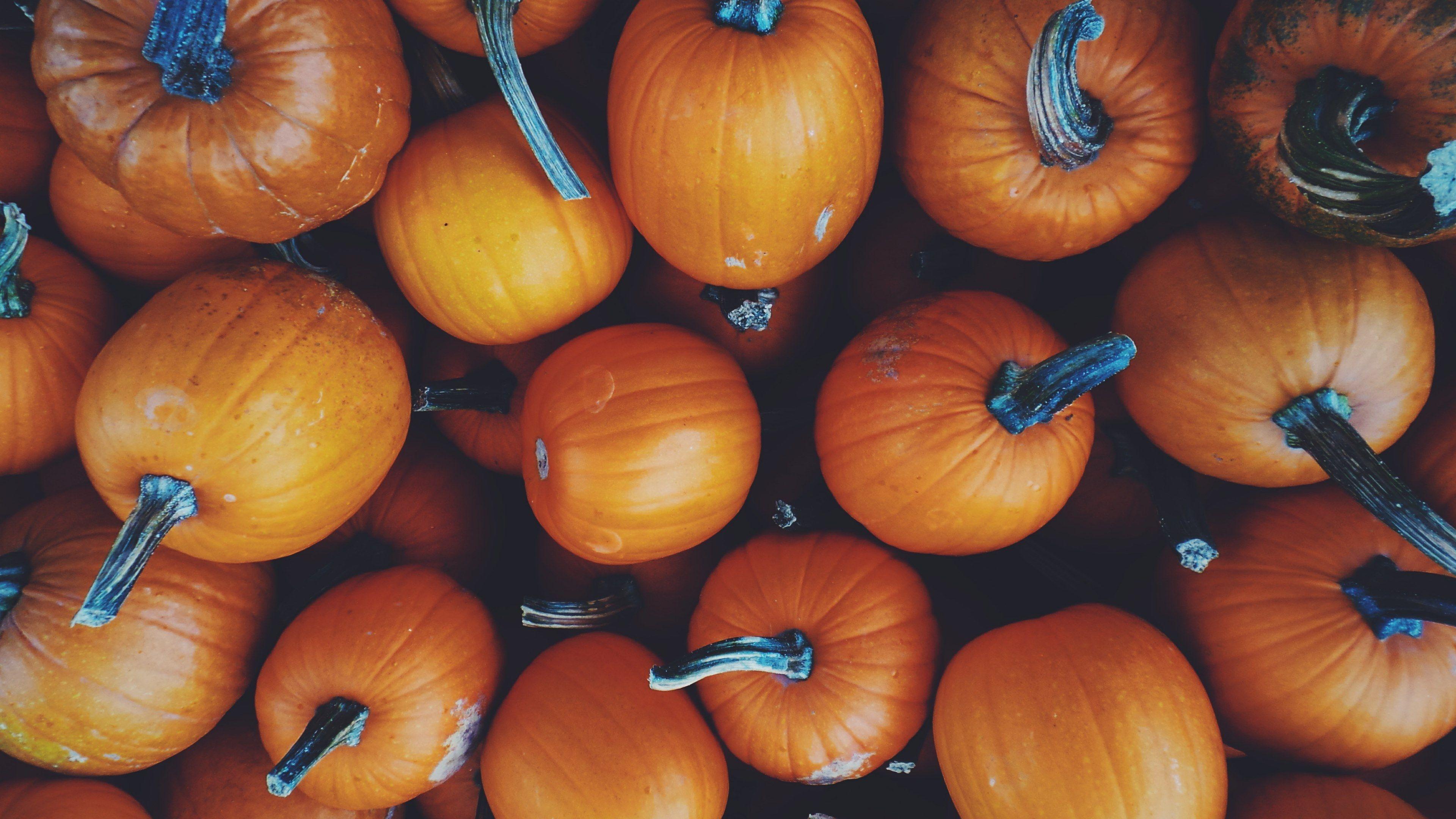 3840x2160 a collection of yellow halloween seasonal pumpkin with patches