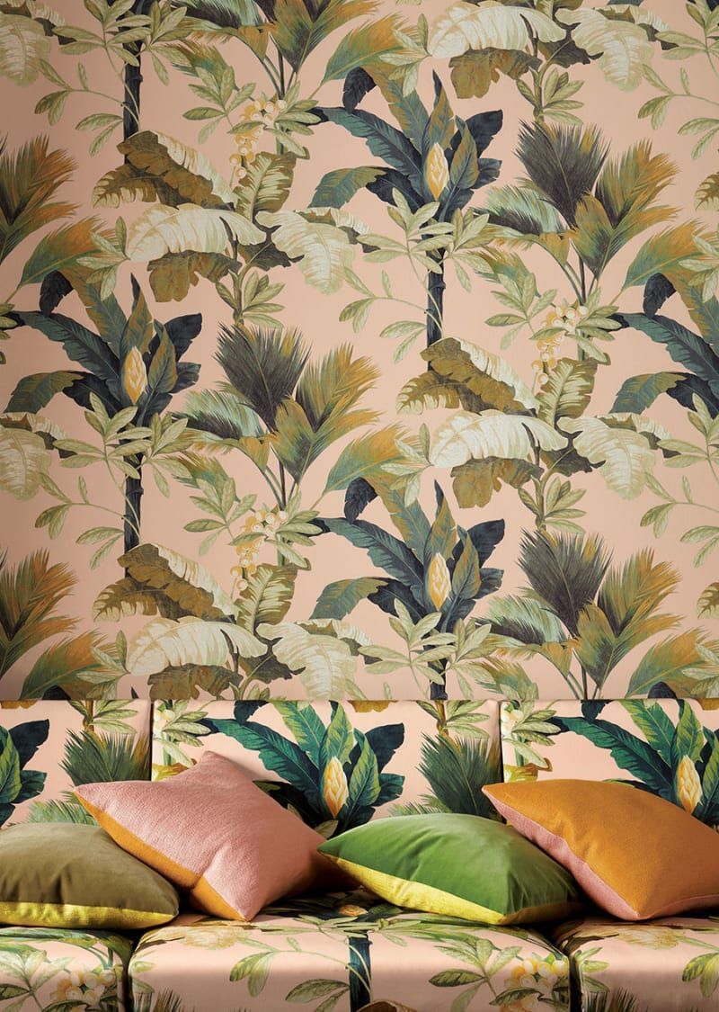 800x1125 Manuel Canovas