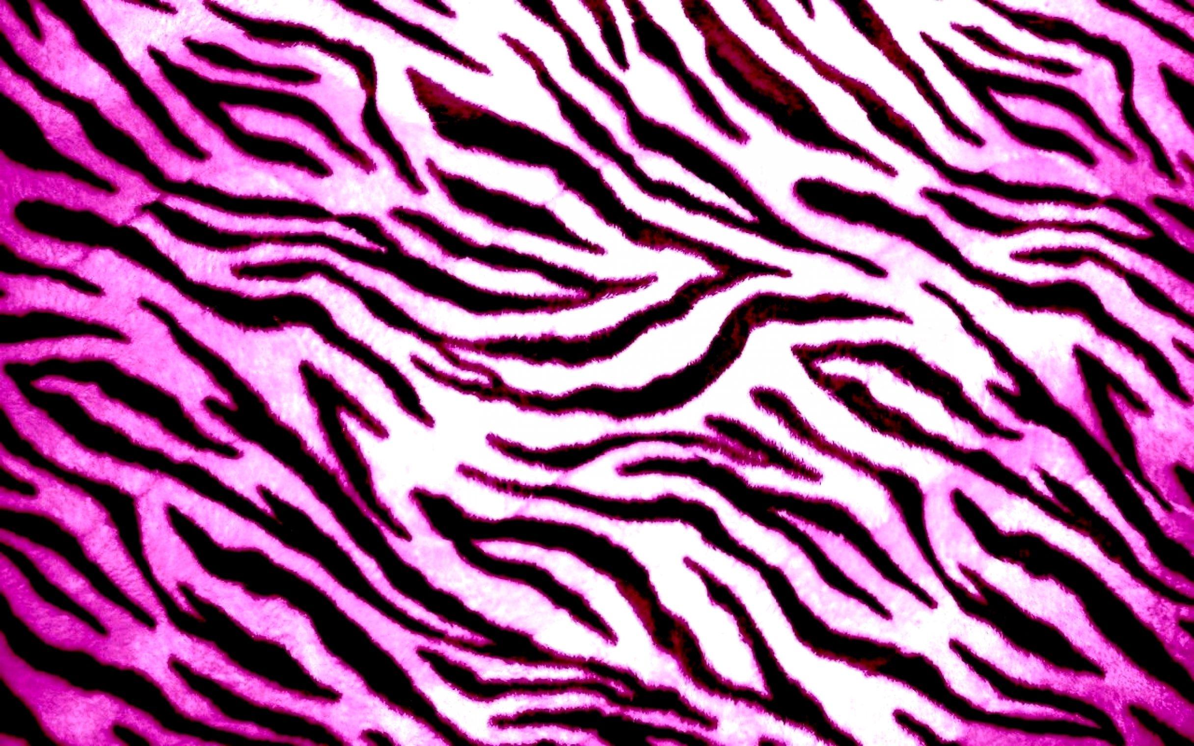 Purple Zebra Wallpapers Top Free Purple Zebra Backgrounds