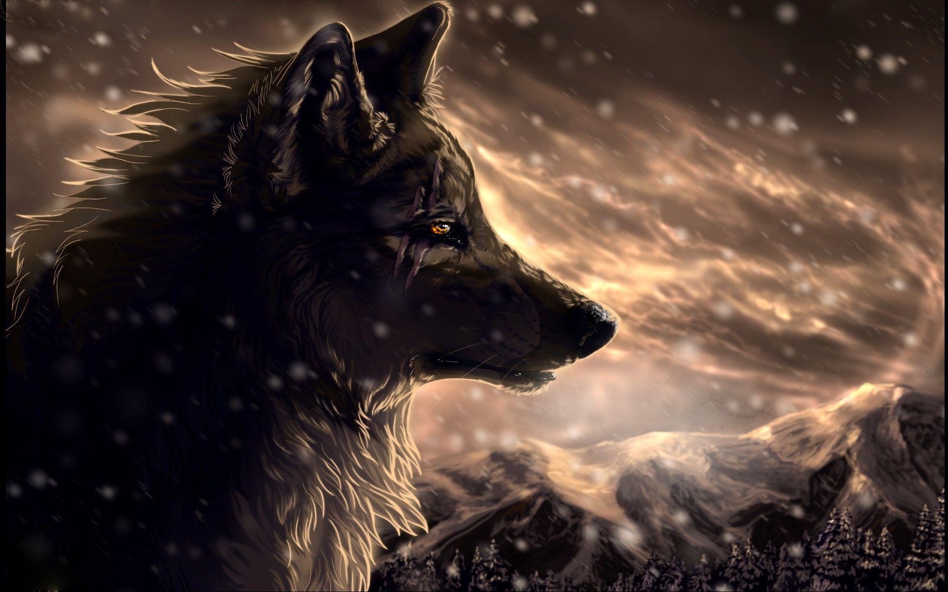 Lone Wolf Anime Wallpapers - Top Free Lone Wolf Anime Backgrounds