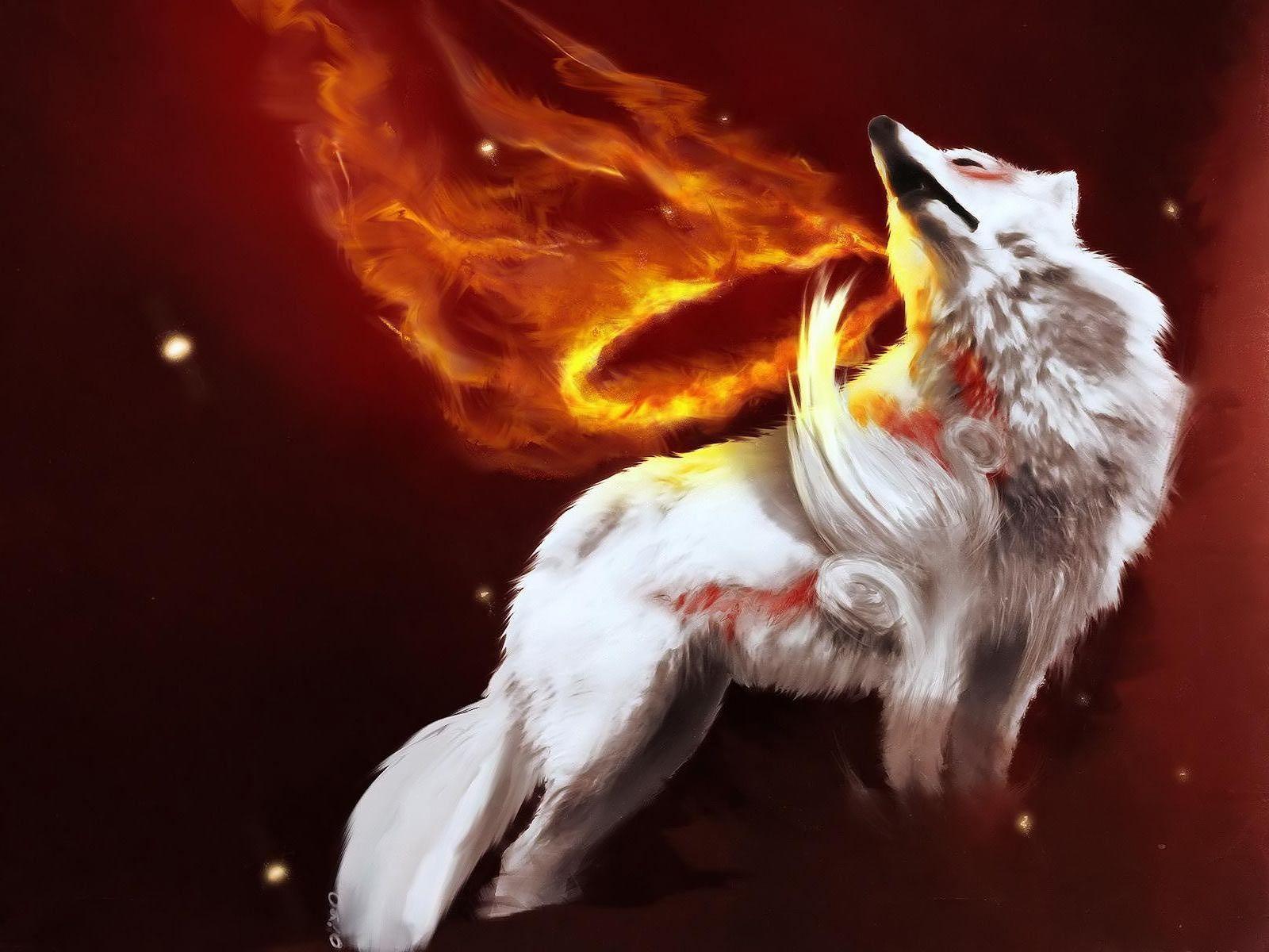 1600x1200 cool wolf wallpaper