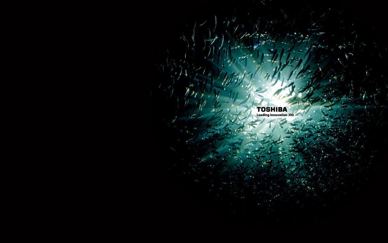 1280x800 Free download WallpaperKu Toshiba Wallpaper [1280x800] for your Desktop, Mobile & Tablet. Explore Toshiba Wallpaper Windows 7. Windows 7 Background, Windows 7 Wallpaper, Background Windows 7
