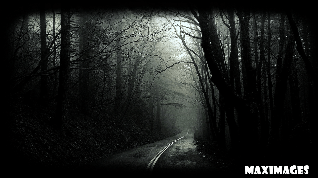 1280x720 Dark Forest