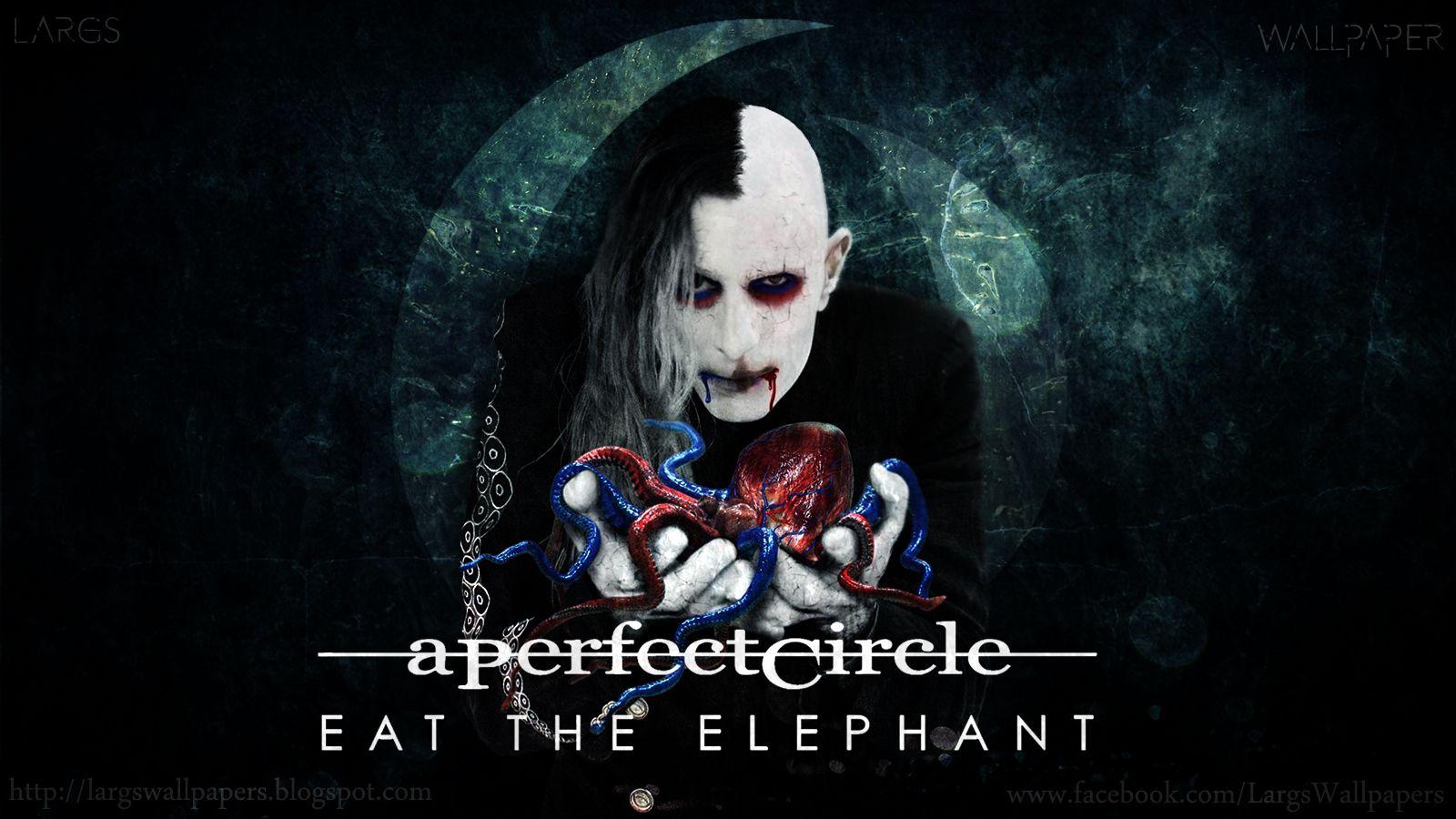 1600x900 Largs Wallpaper: 103° A PERFECT CIRCLE THE ELEPHANT WALLPAPER