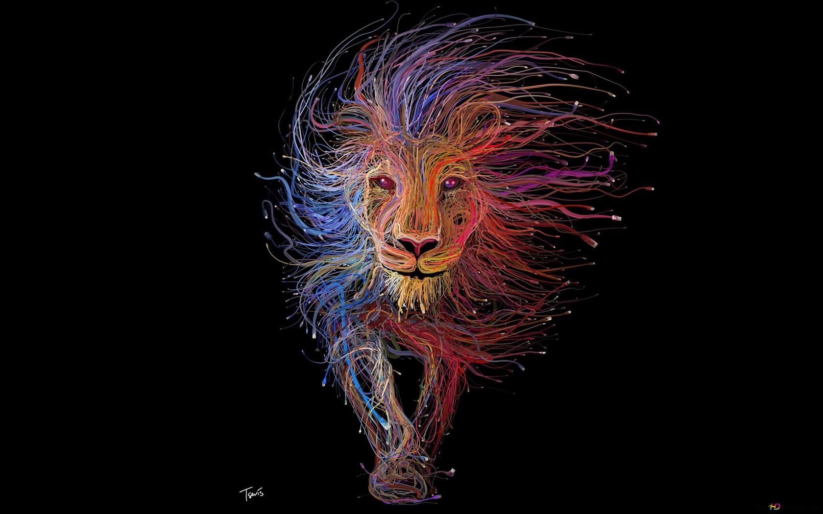 1680x1050 Multi Color Lion Illustration 2K Wallpaper Download