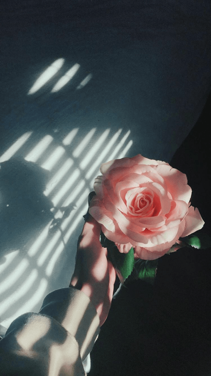720x1280 Wallpaper discovered