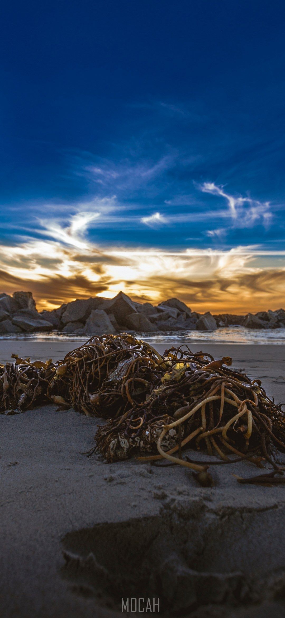 1080x2340 west coast seaweed ocean and beach hd, Honor 10 Lite wallpaper HD free download, 1080x2340 Gallery HD Wallpaper