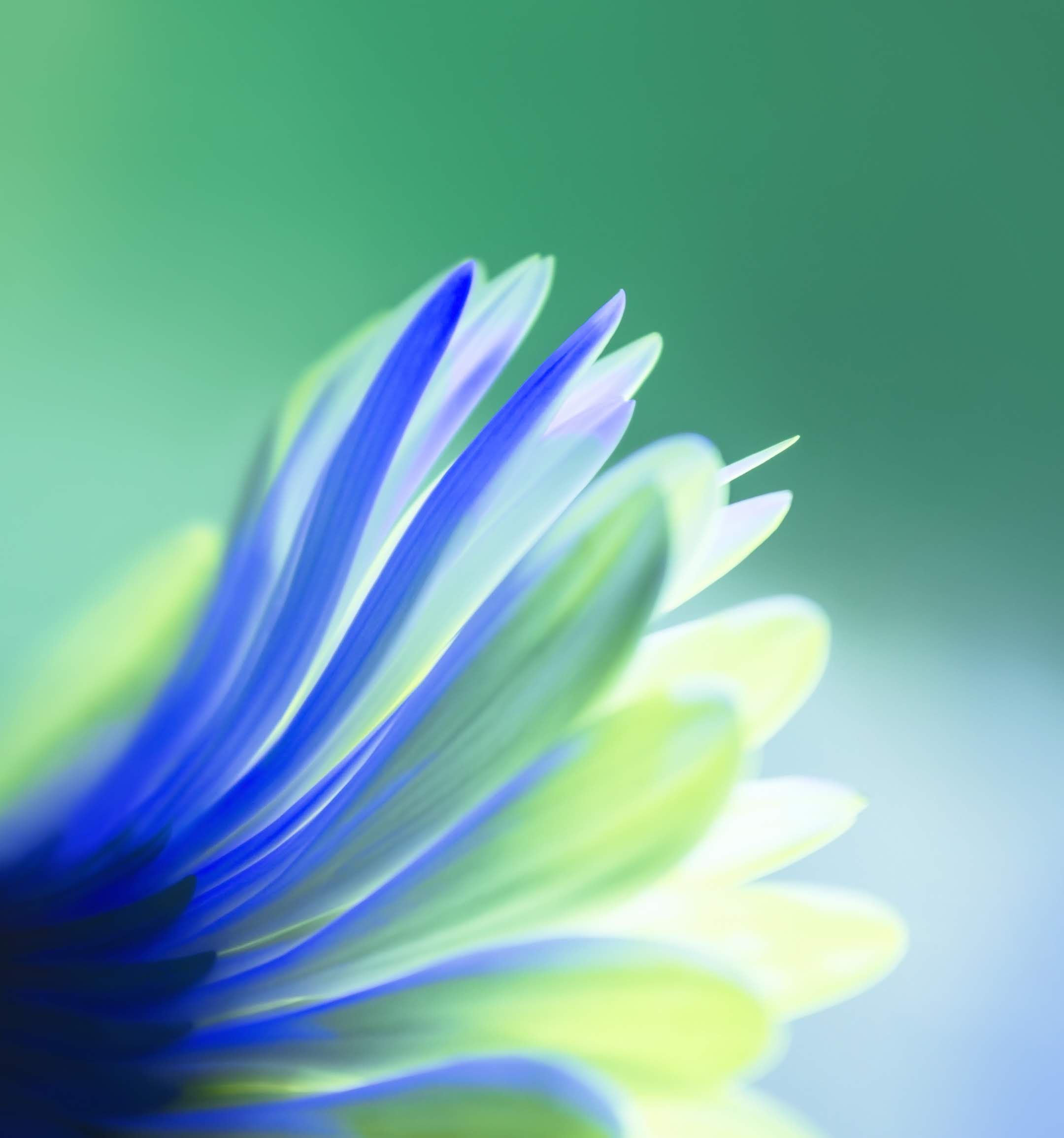 2160x2310 Huawei Honor 20 Wallpaper, HD Huawei Honor 20 Background, Free Image Download