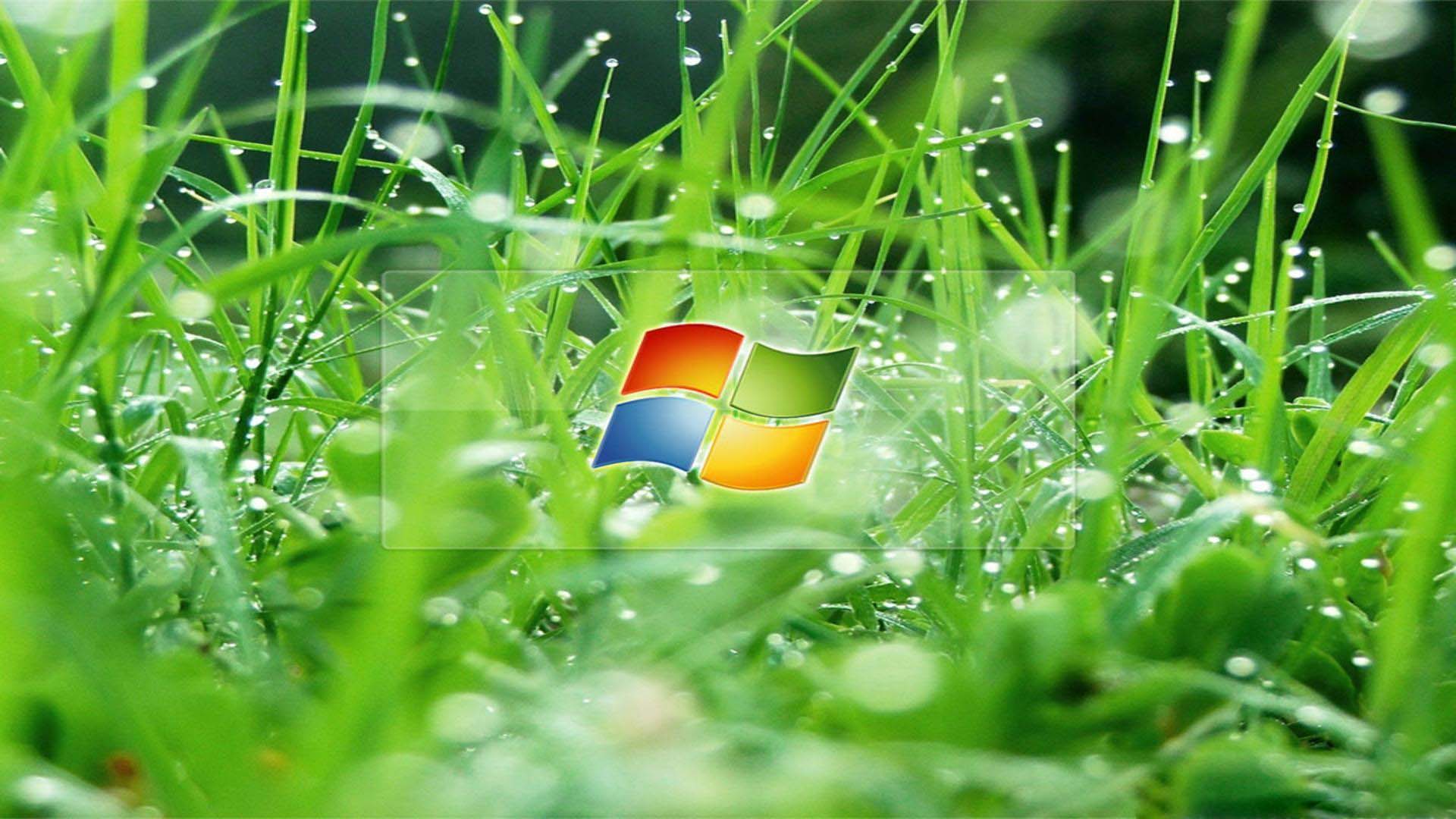 1920x1080 Free download 3D Wallpaper For Pc HD Wallpaper Background of Your [1920x1080] for your Desktop, Mobile & Tablet. Explore 3D Pc Wallpaperd Wallpaper For Pc, Pc Wallpaper HD