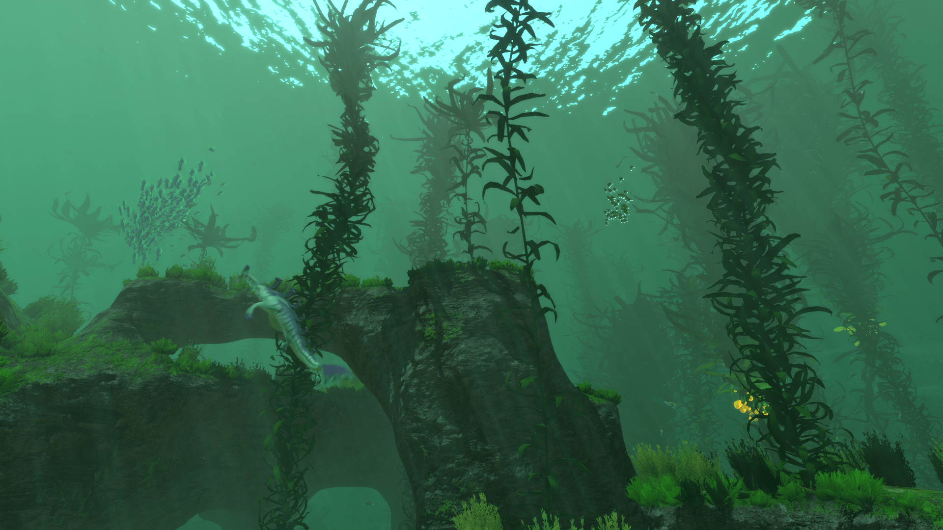 Kelp Forest Wallpapers - Top Free Kelp Forest Backgrounds - WallpaperAccess