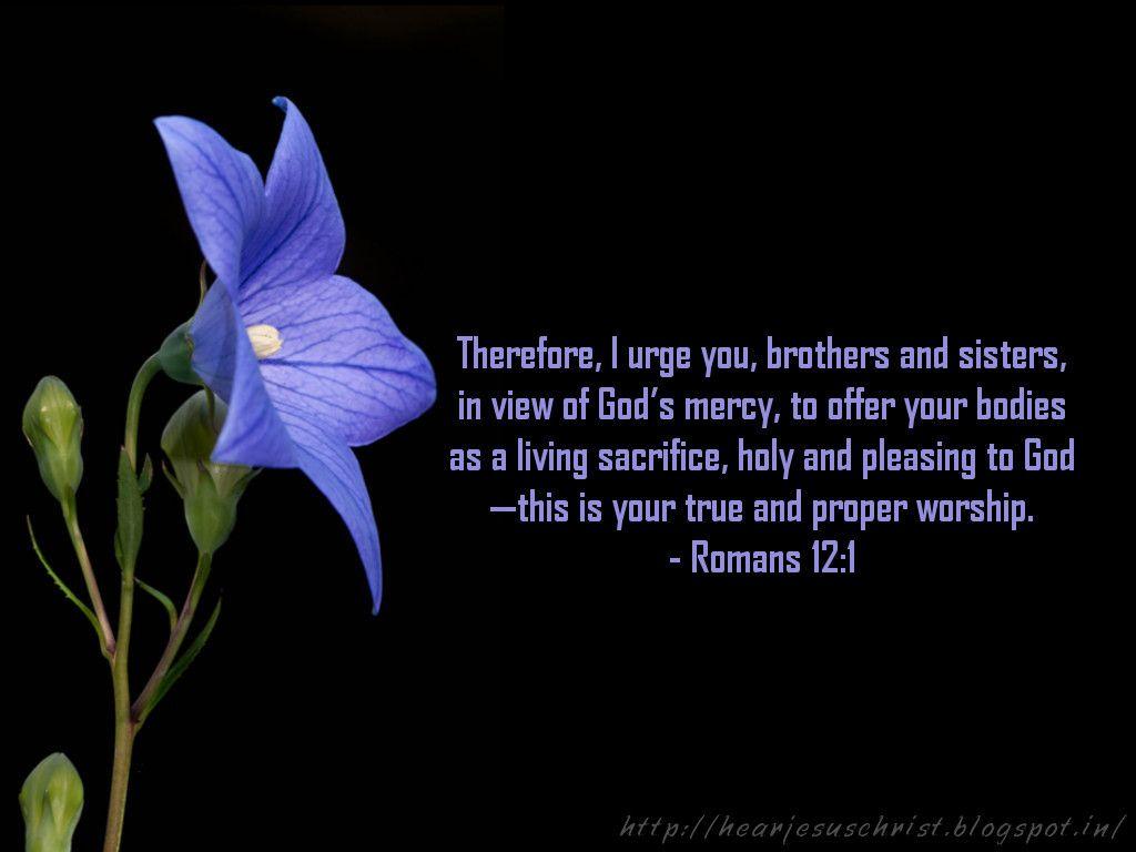 1024x768 Christian Wallpaper: Bible Verse Wallpaper 12:1