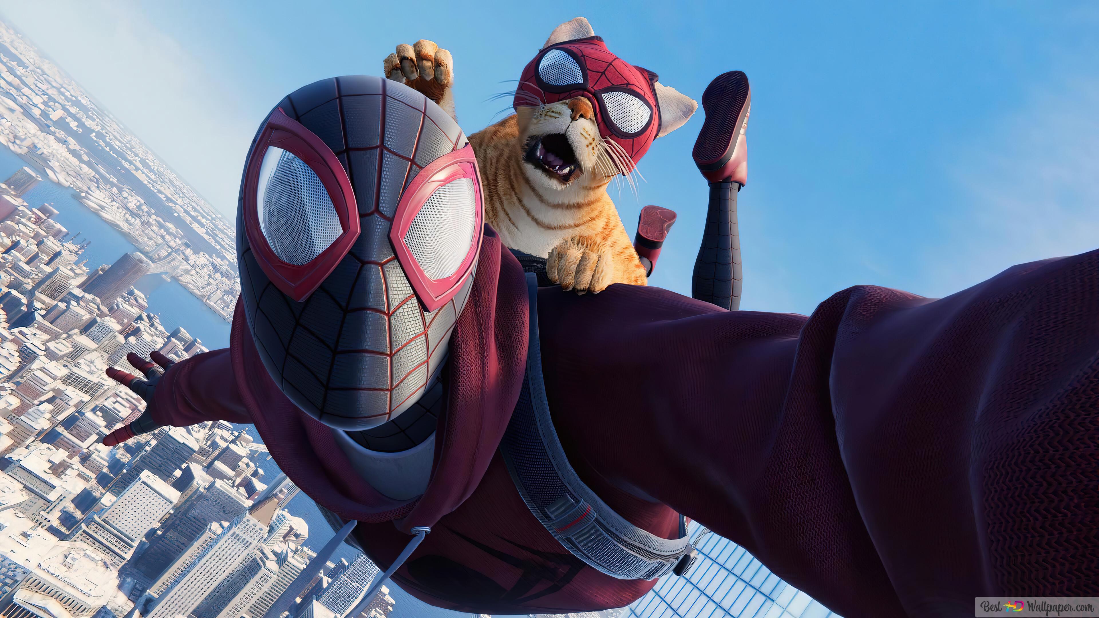 3840x2160 Spiderman Morales 4K wallpaper download