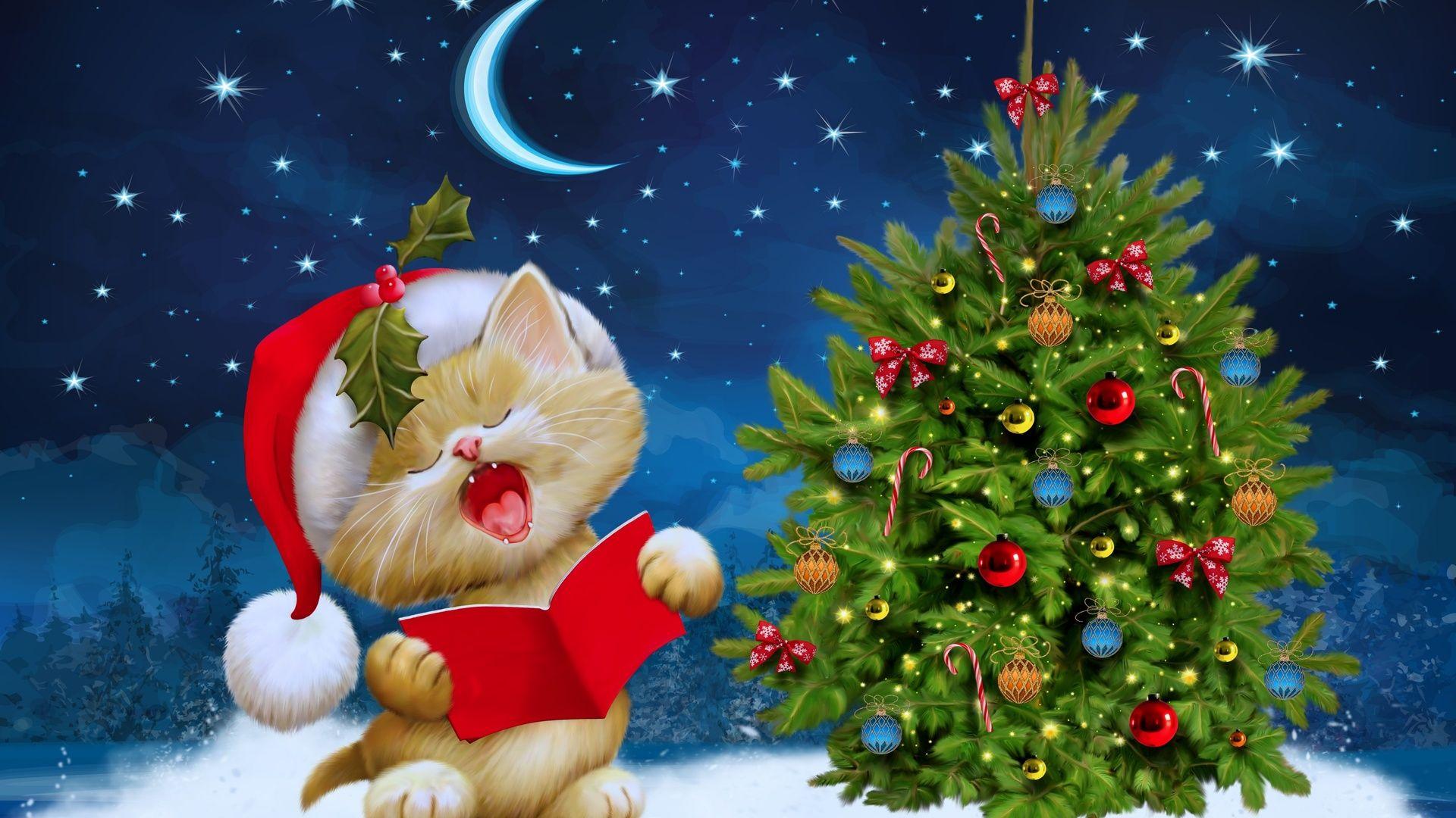 1920x1080 Merry Christmas Kitten Ultra HD Wallpaper. UHD